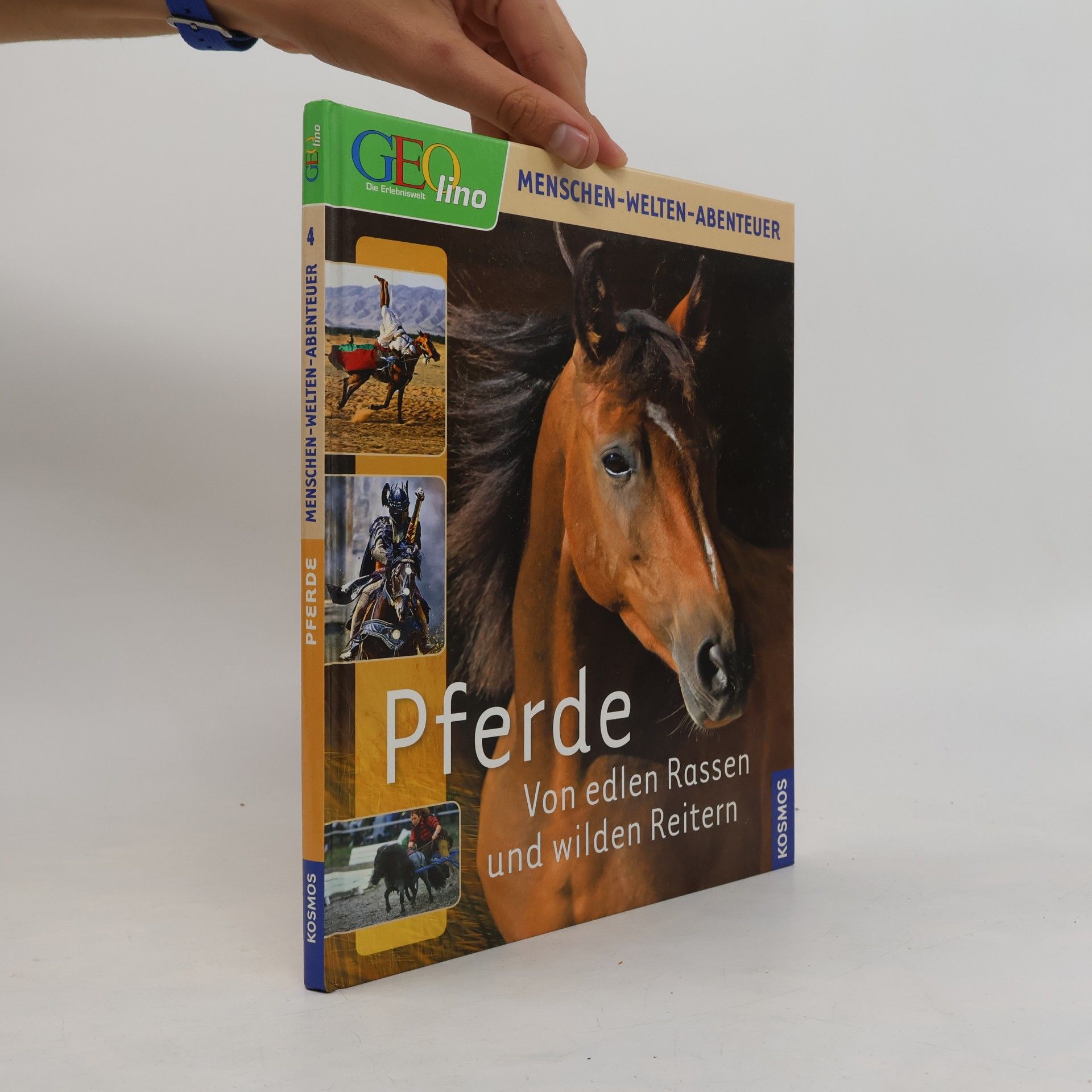 Pferde