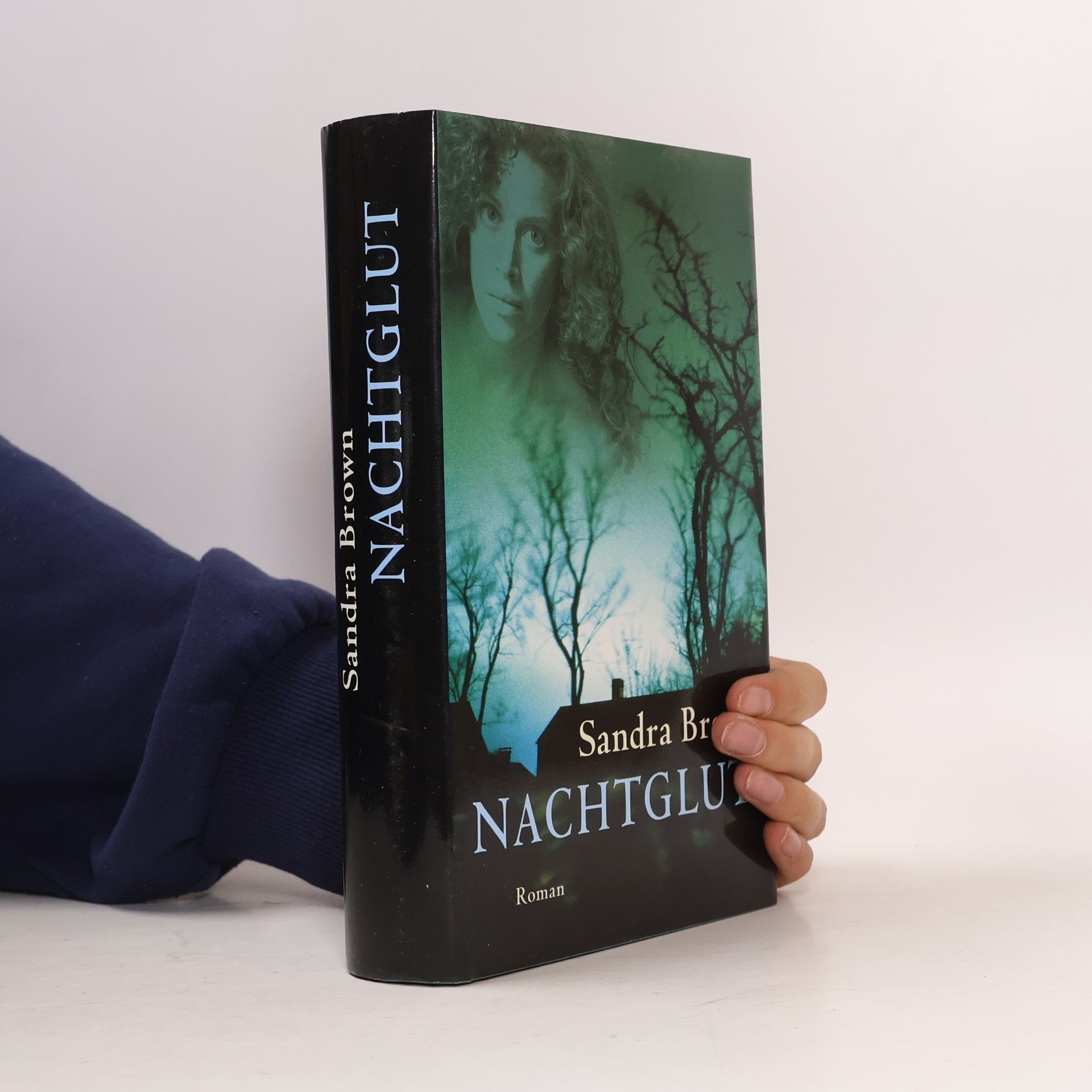 Sandra Brown Nachtglut