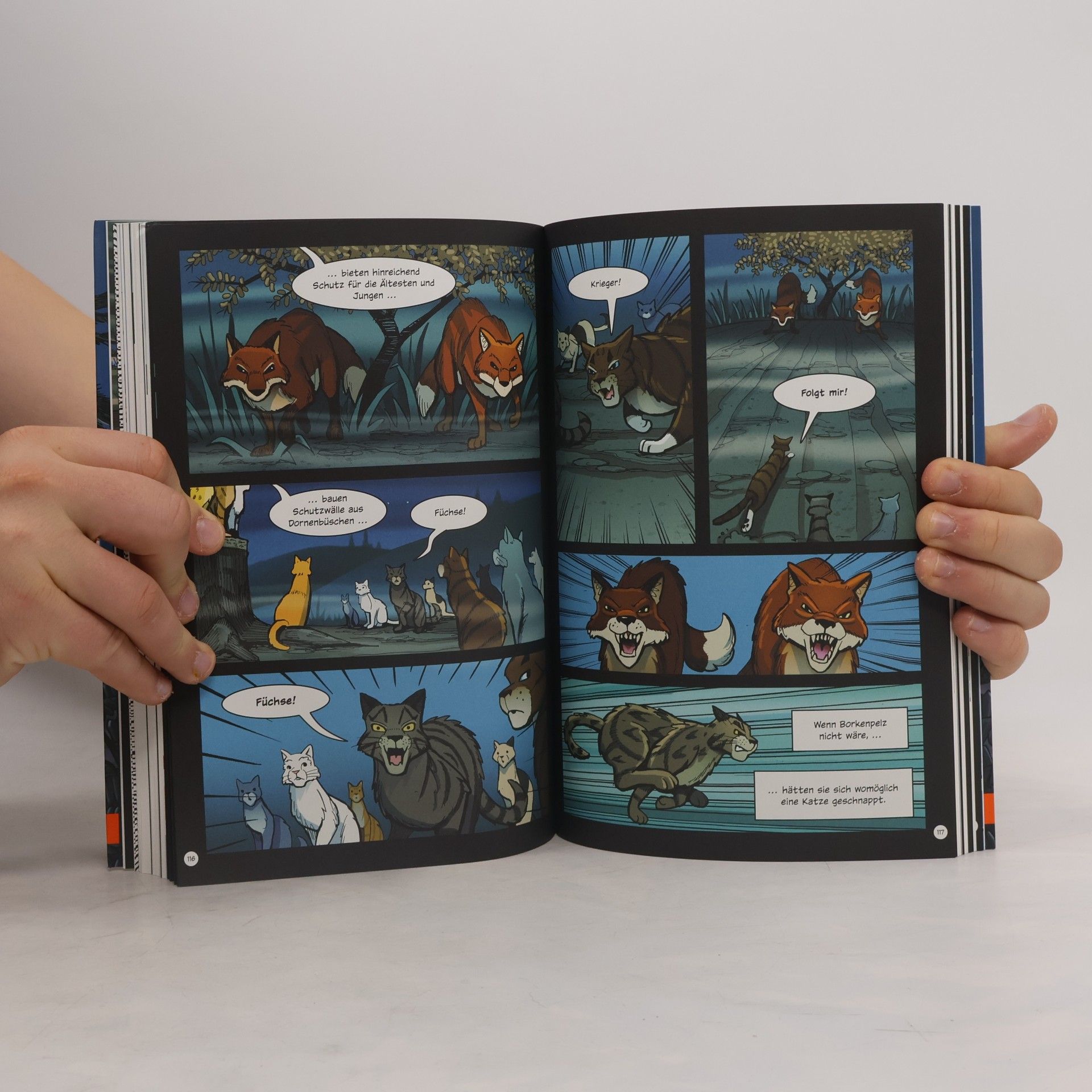 Erin Hunter Warrior Cats. Wind des Wandels