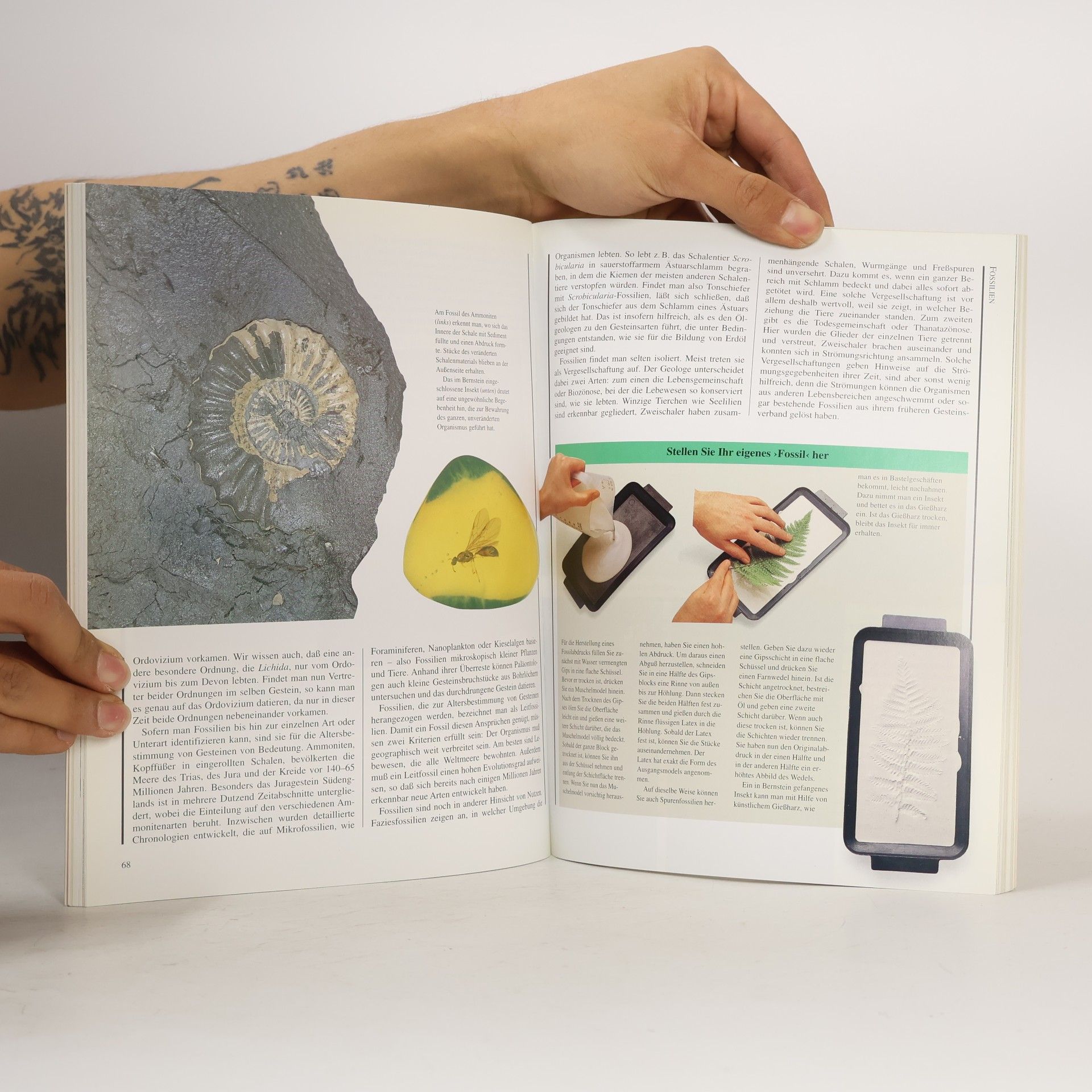 Dougal Dixon Geologie für Amateure