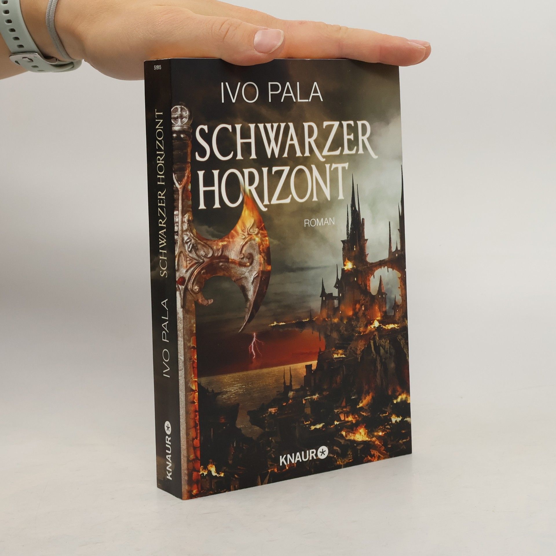 Ivo Pala Schwarzer Horizont