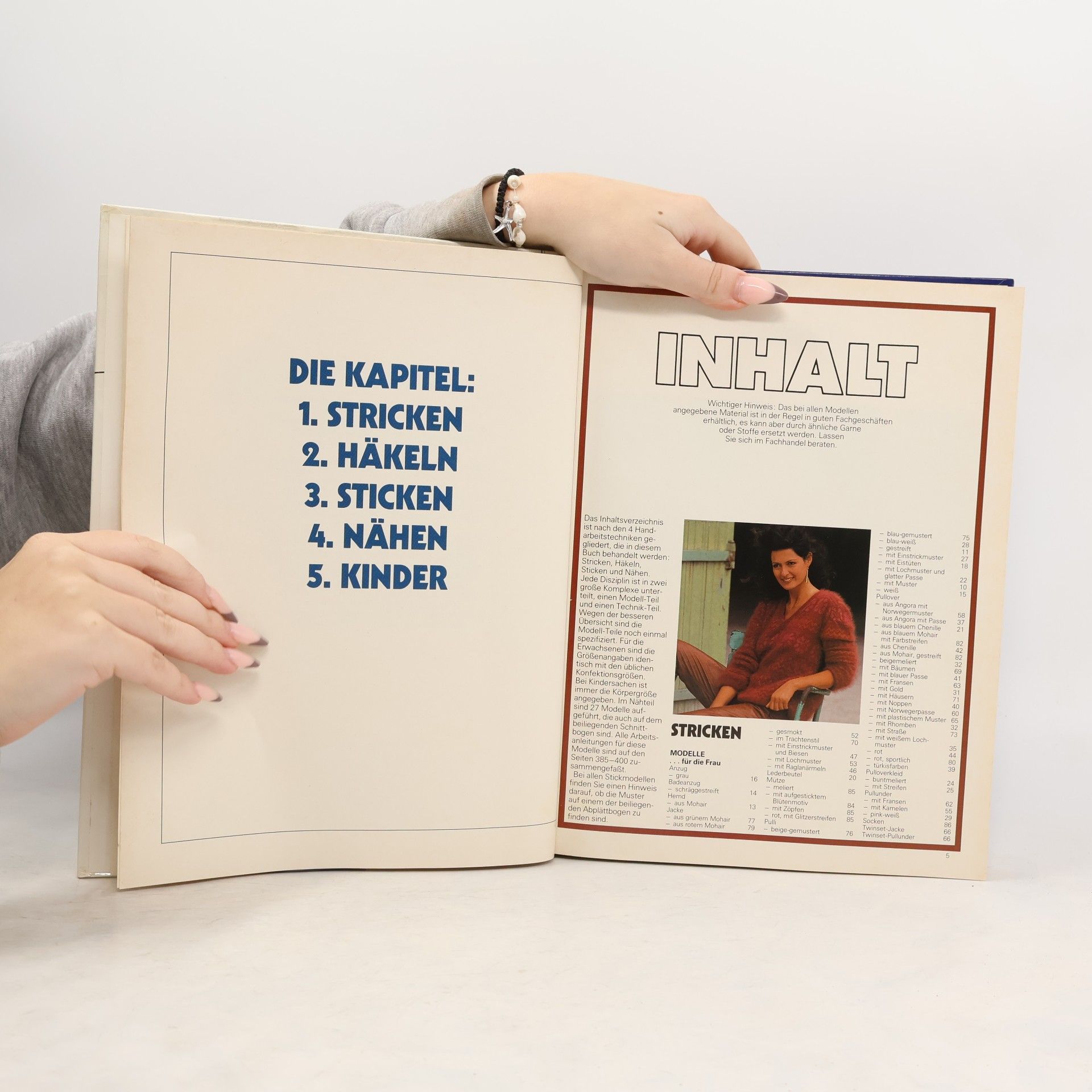 Kolektív autorov Das Grosse buch der Handarbeiten V.