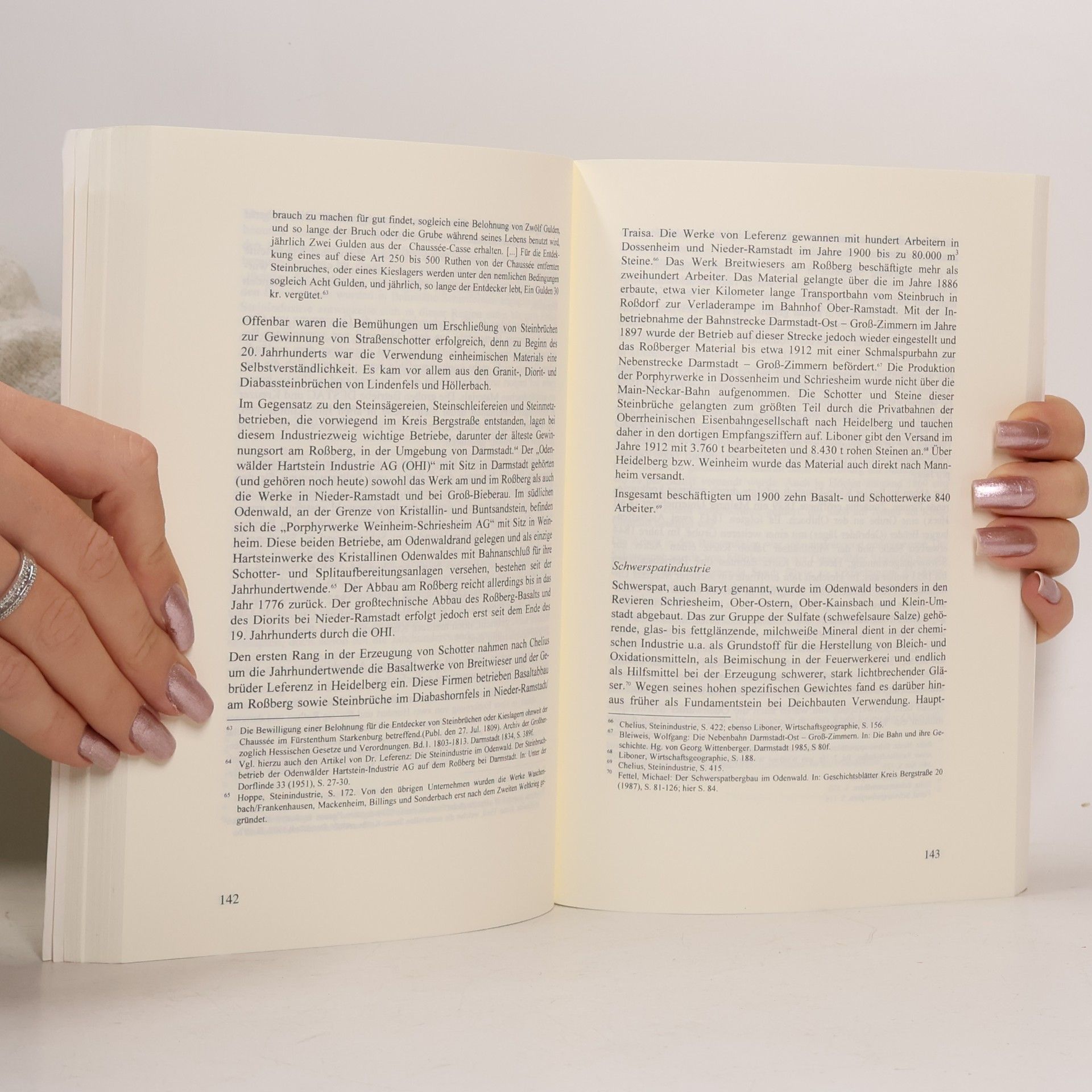Christof Dipper TUD Schriftenreihe Wissenschaft und Technik - 79: Strukturwandel einer Region