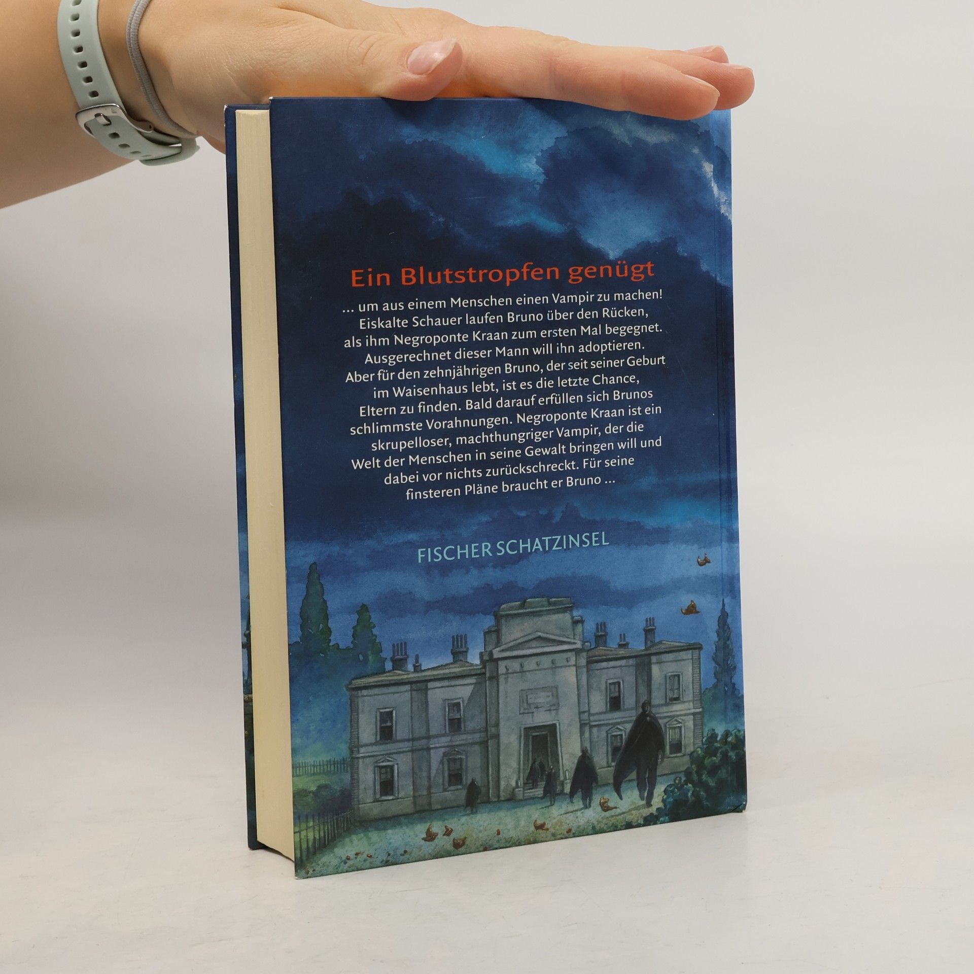 Rosa Gil Das Waisenhaus der Vampire