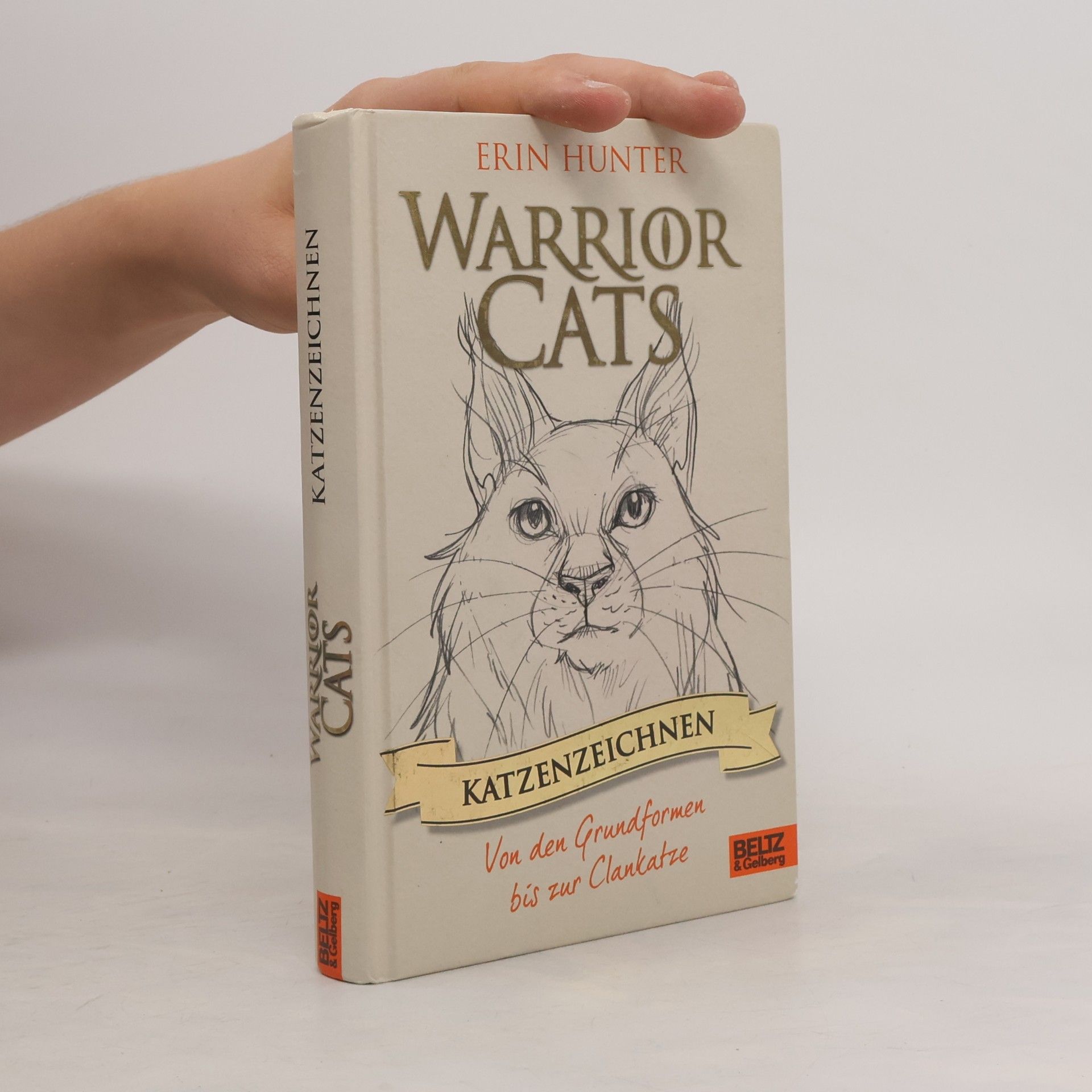 Warrior cats - Katzenzeichnen