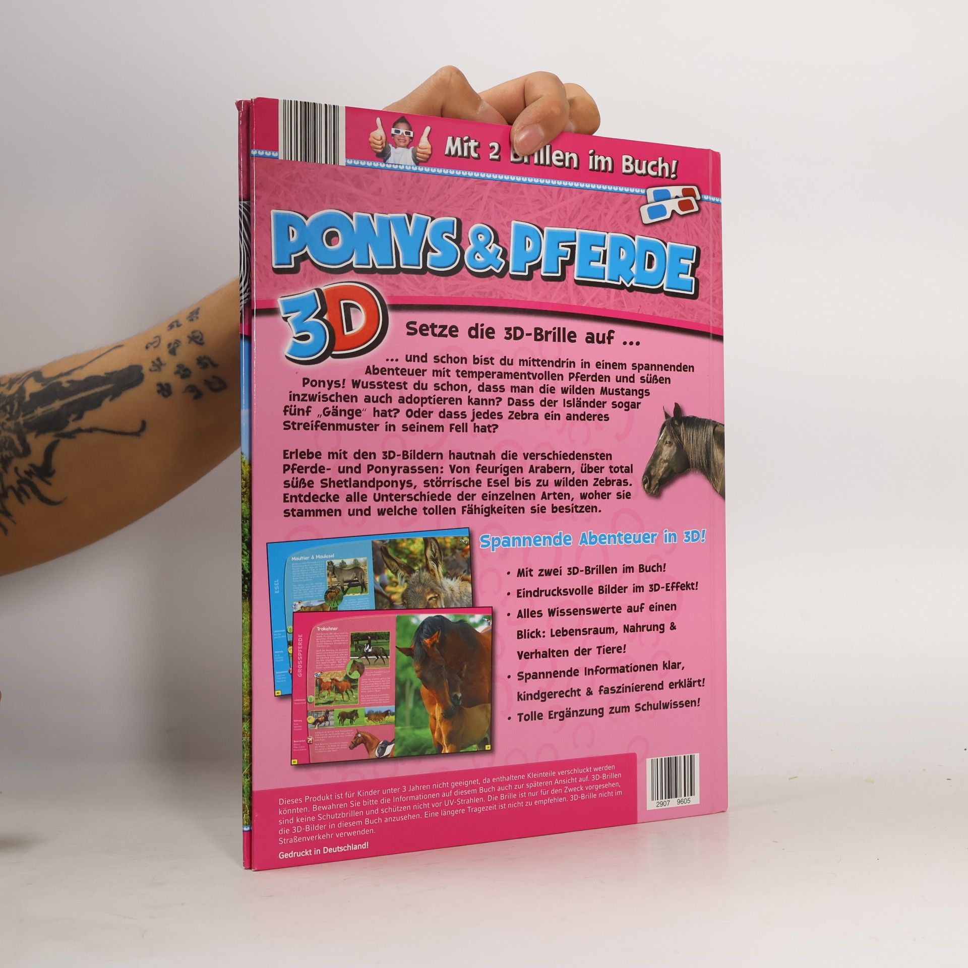 Autorenkollektiv Ponys und Pferde 3D
