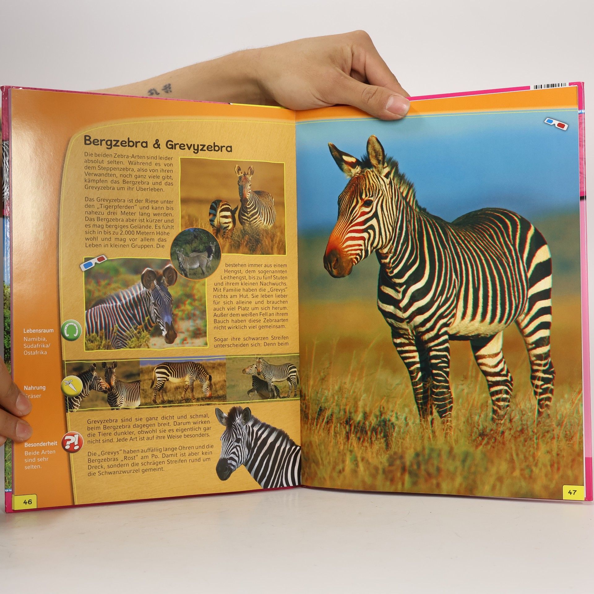 Autorenkollektiv Ponys und Pferde 3D