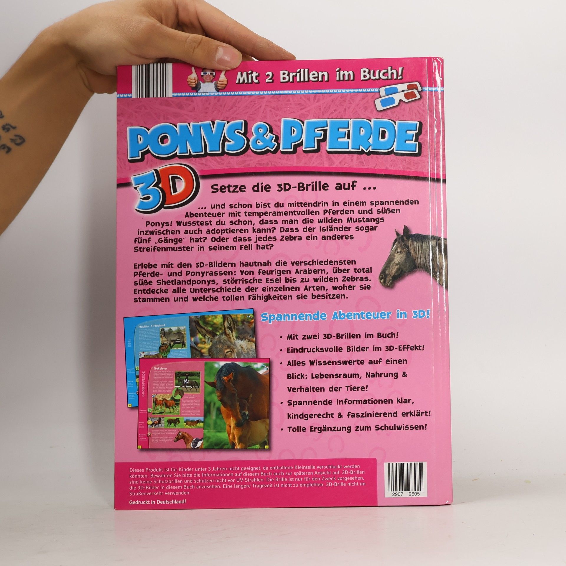 Autorenkollektiv Ponys und Pferde 3D