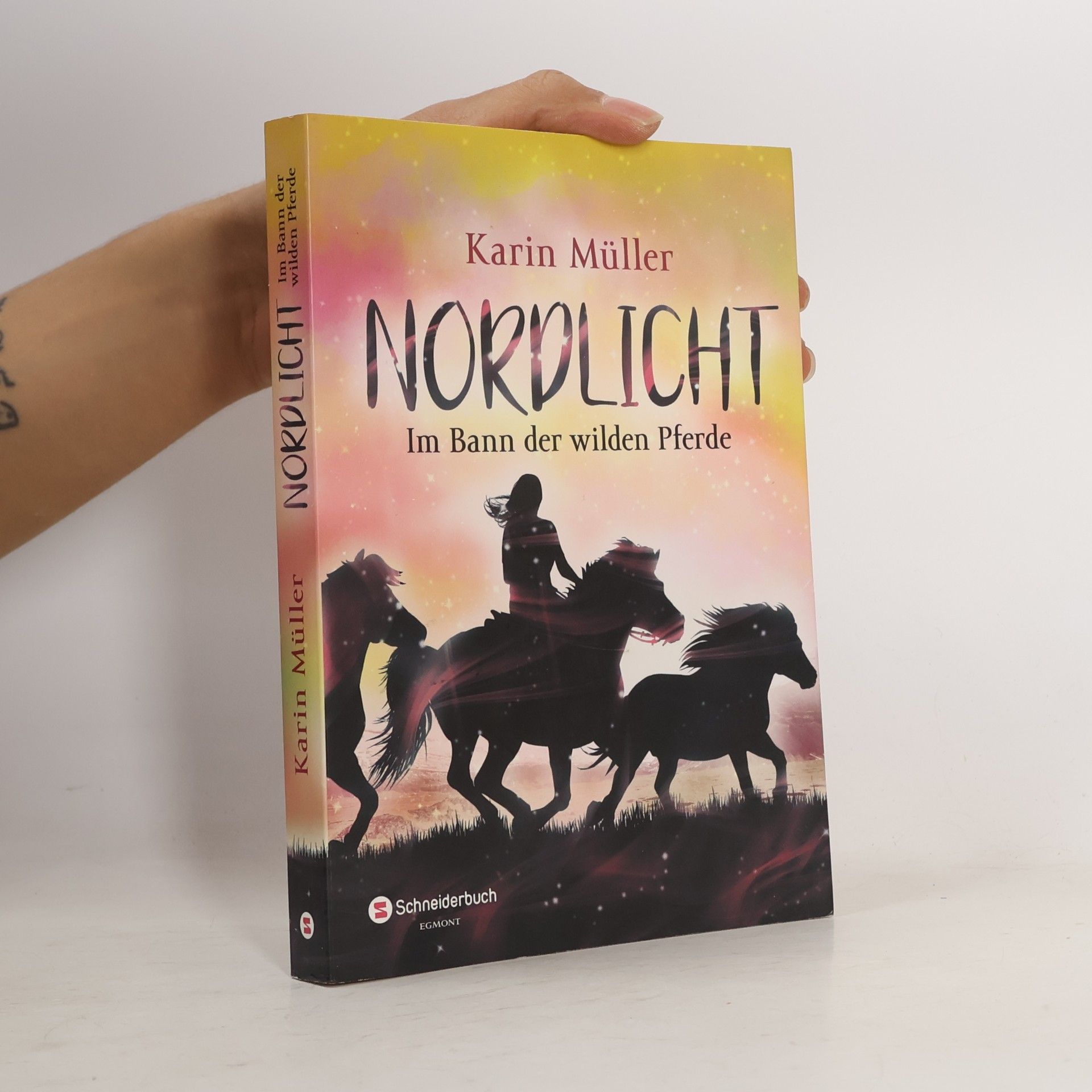 Karin Müller Im Bann der wilden Pferde