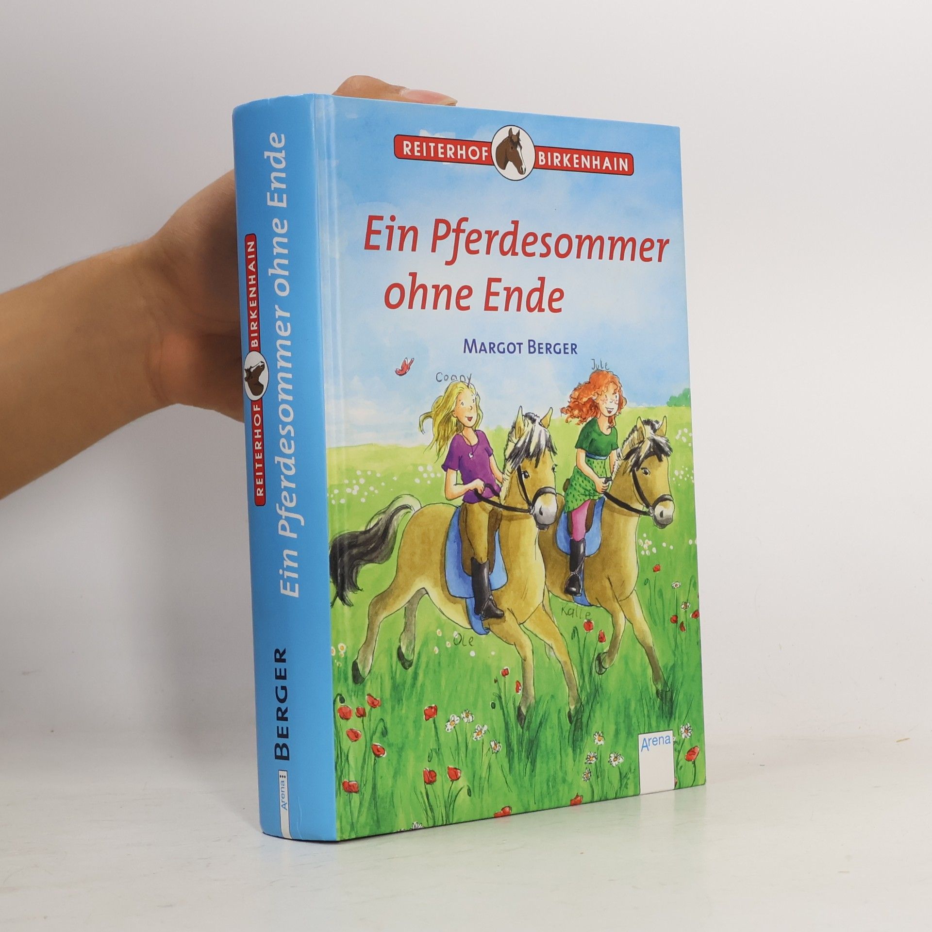 Reiterhof Birkenhain: Ein Pferdesommer ohne Ende