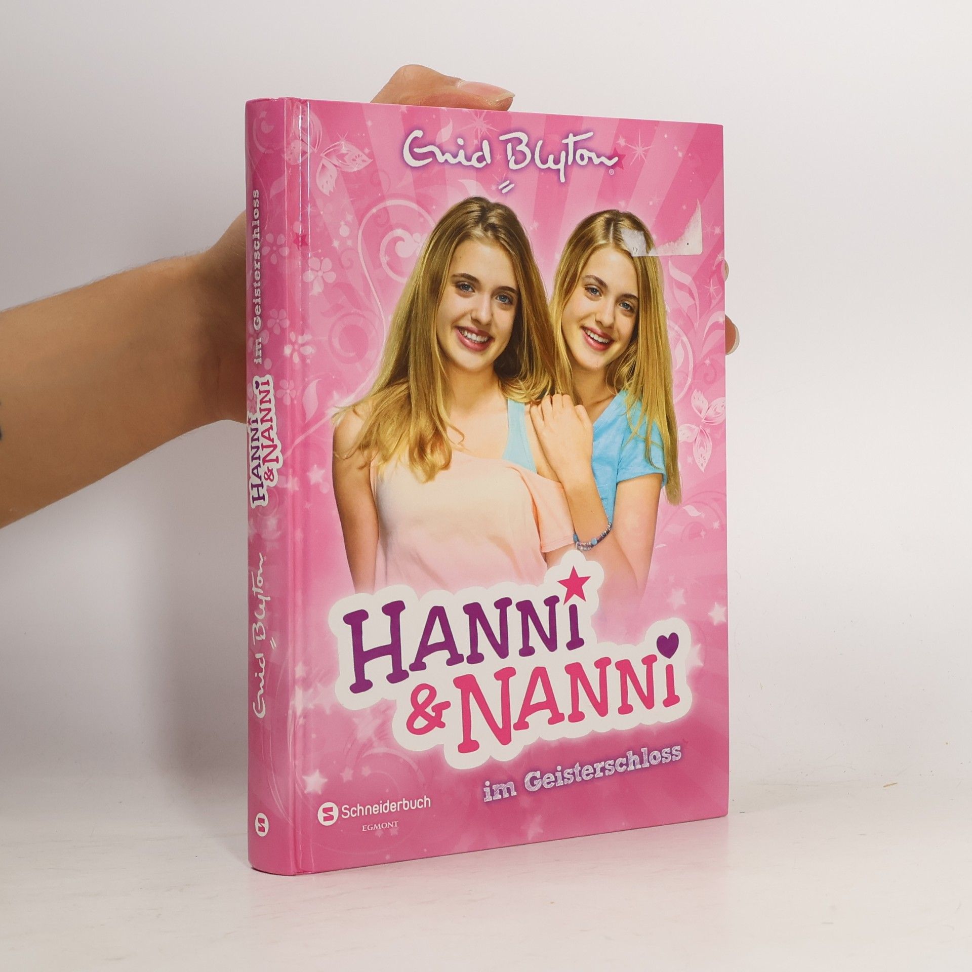Enid Blyton Hanni und Nanni 6