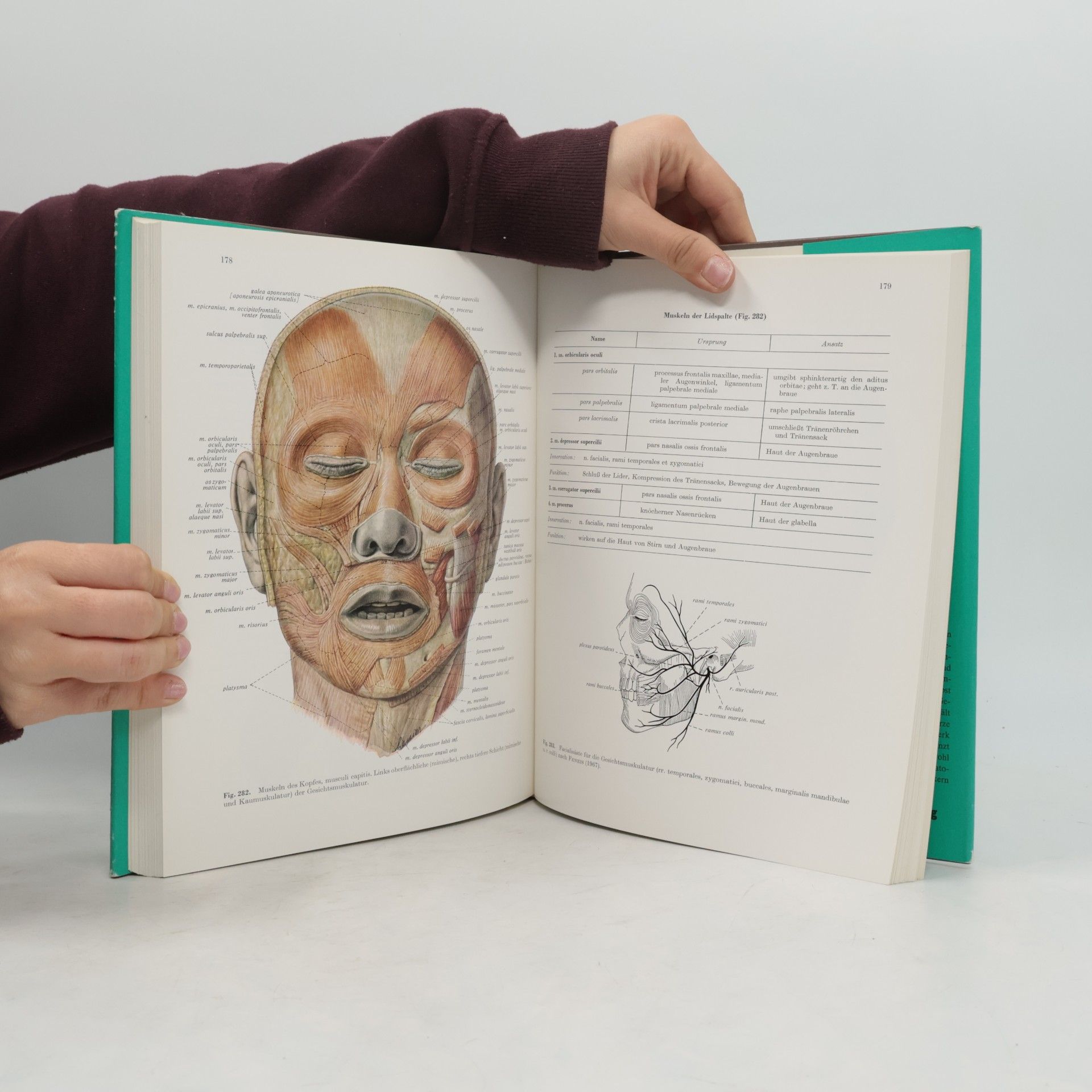 Hellmut Becher Atlas der Anatomie des Menschen