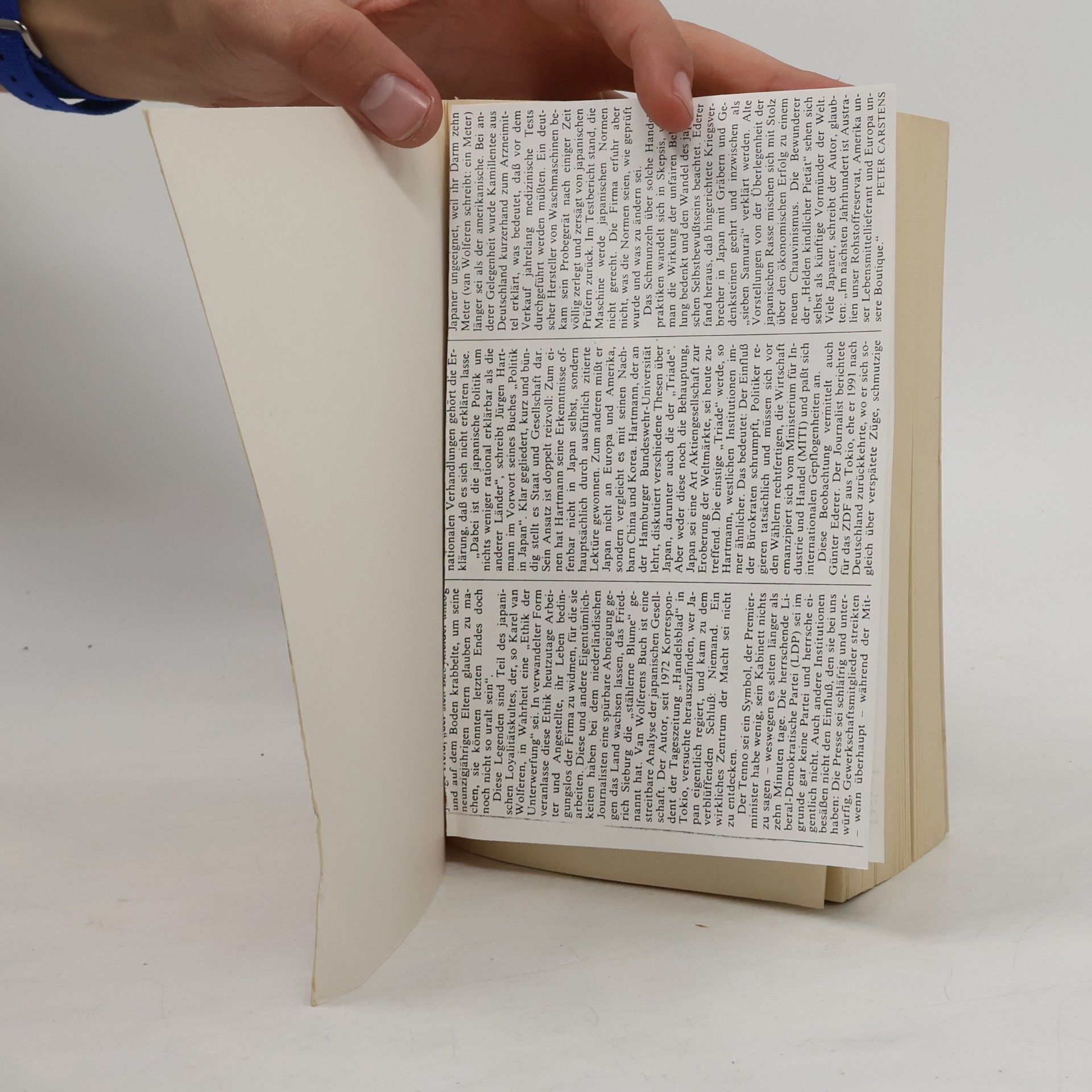 Karel van Wolferen Vom Mythos der Unbesiegbaren