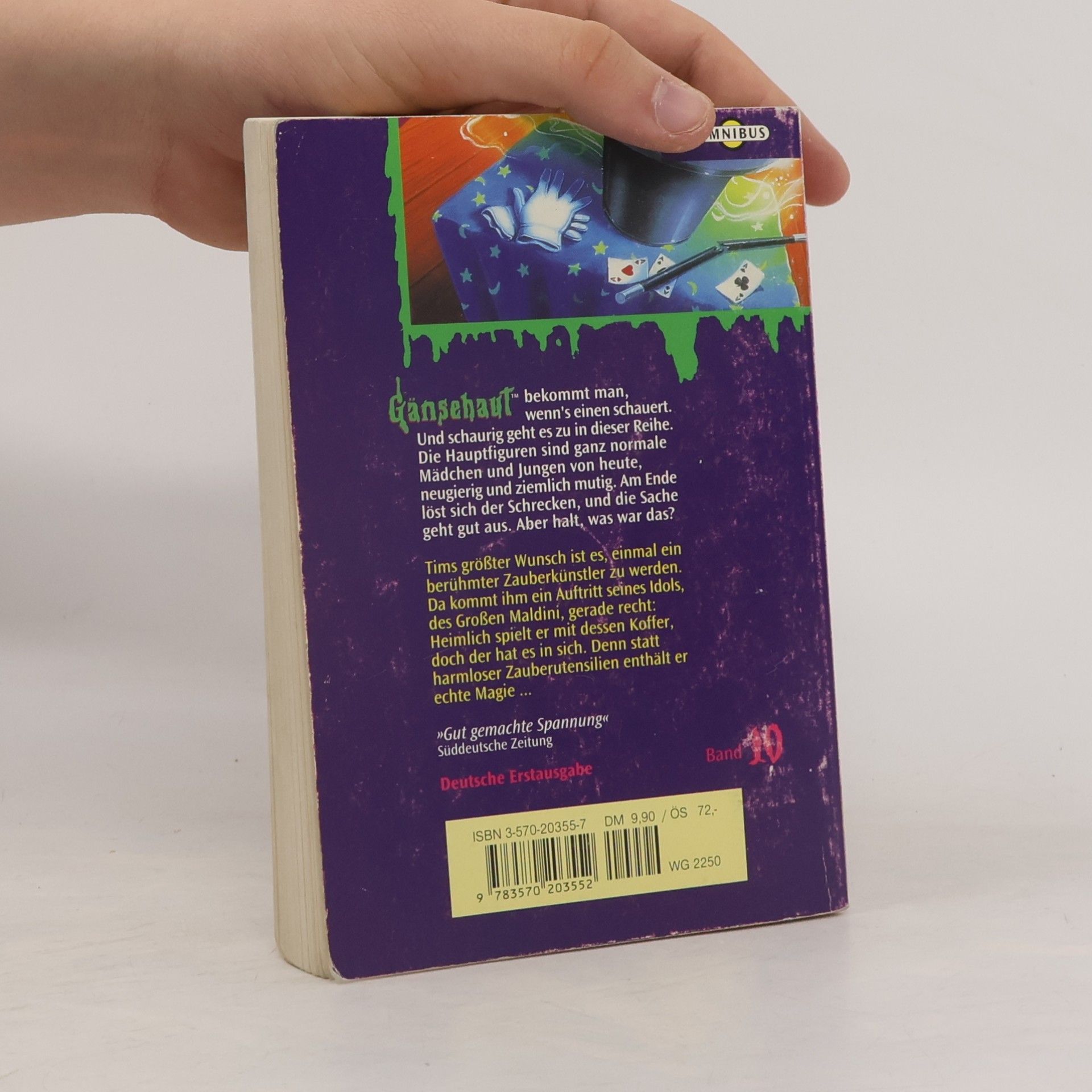 R. L. Stine Gänsehaut. Tl.10. Der Gruselzauber. Aus d. Amerikan. v. Günter W. Kienitz