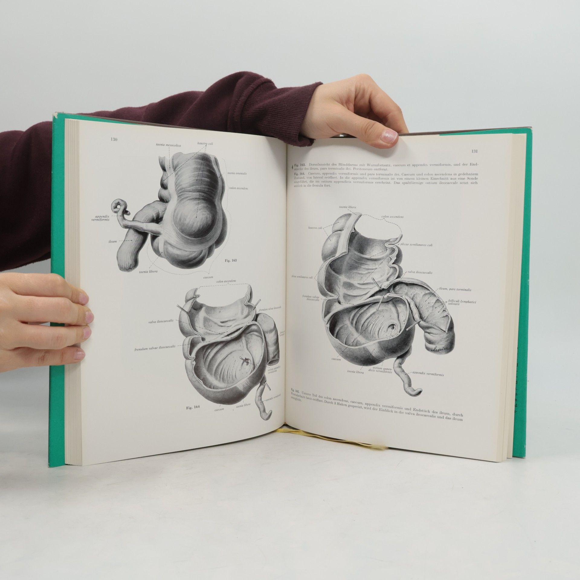 Johannes Sobotta Atlas der Anatomie des Menschen