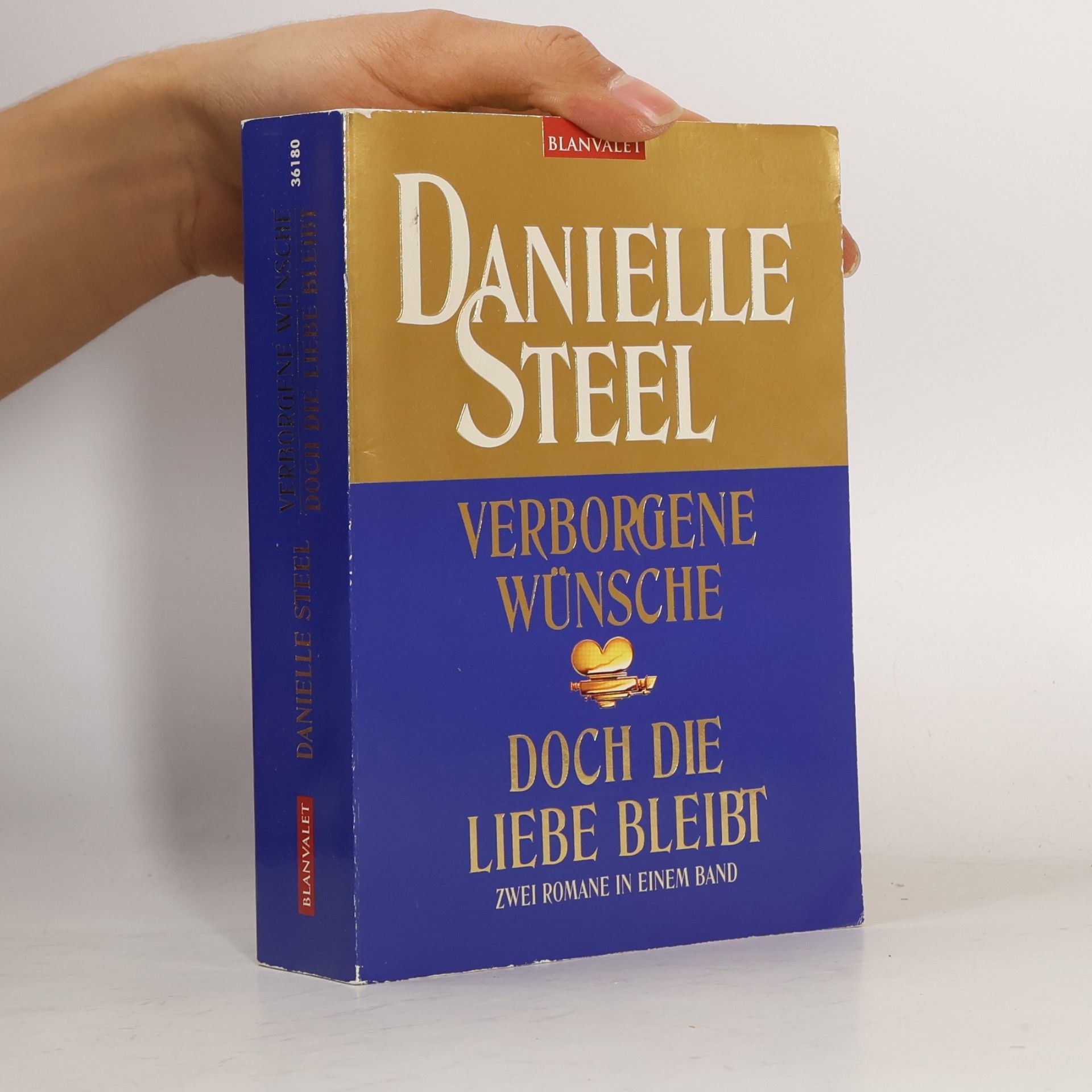Danielle Steel Verborgene Wünsche
