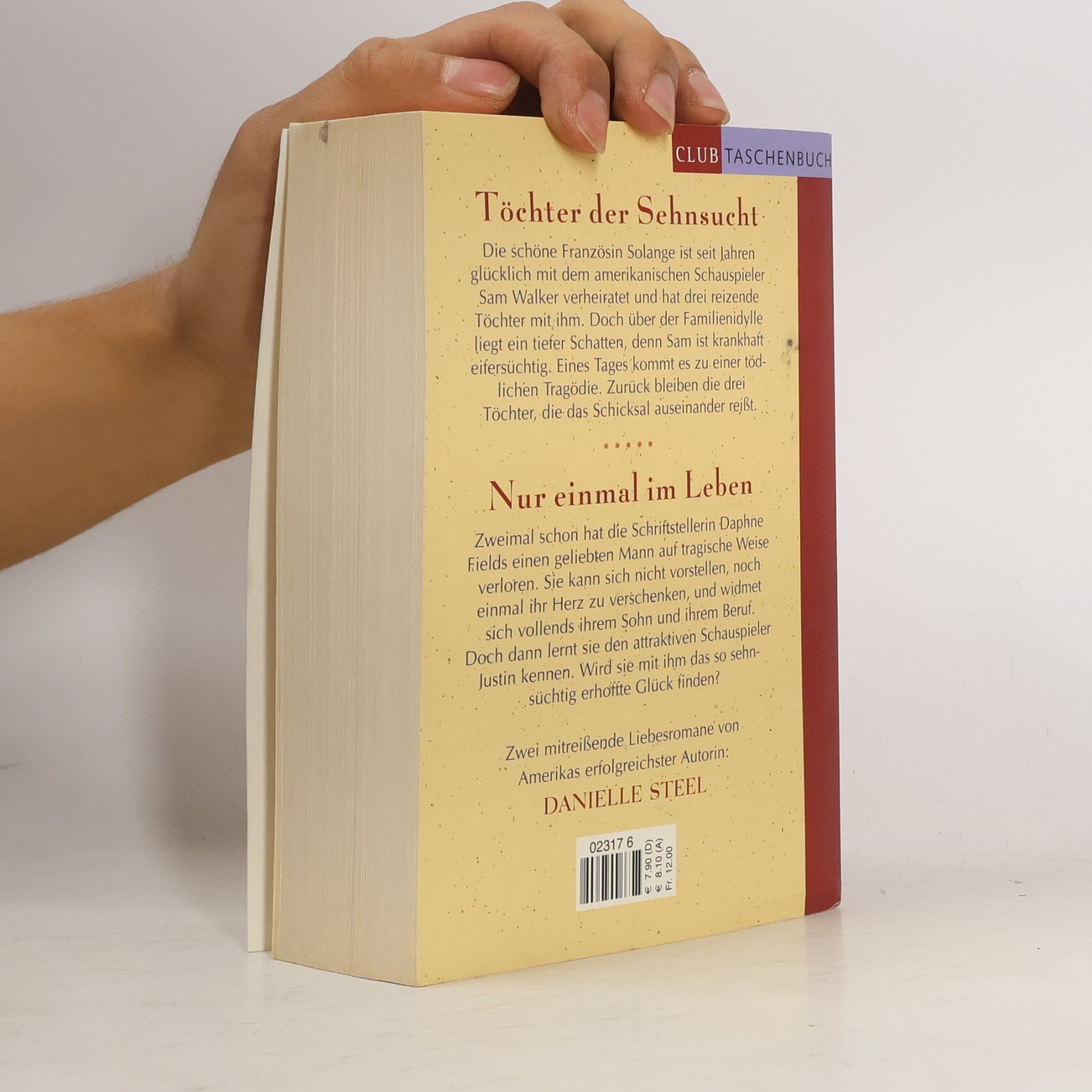 Danielle Steel Töchter der Sehnsucht. Nur einmal im Leben