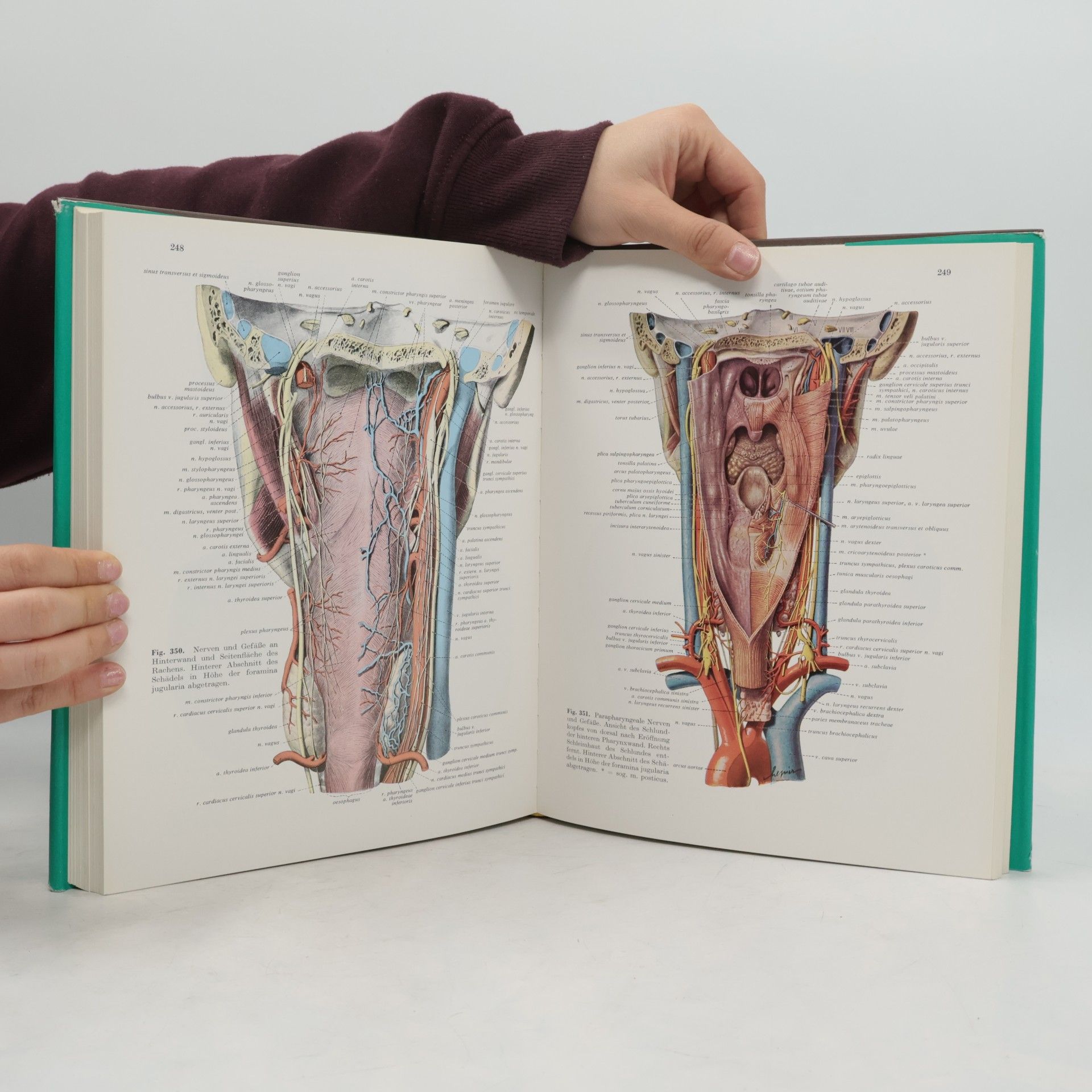 Hellmut Becher Lehrbuch der Anatomie des Menschen 3