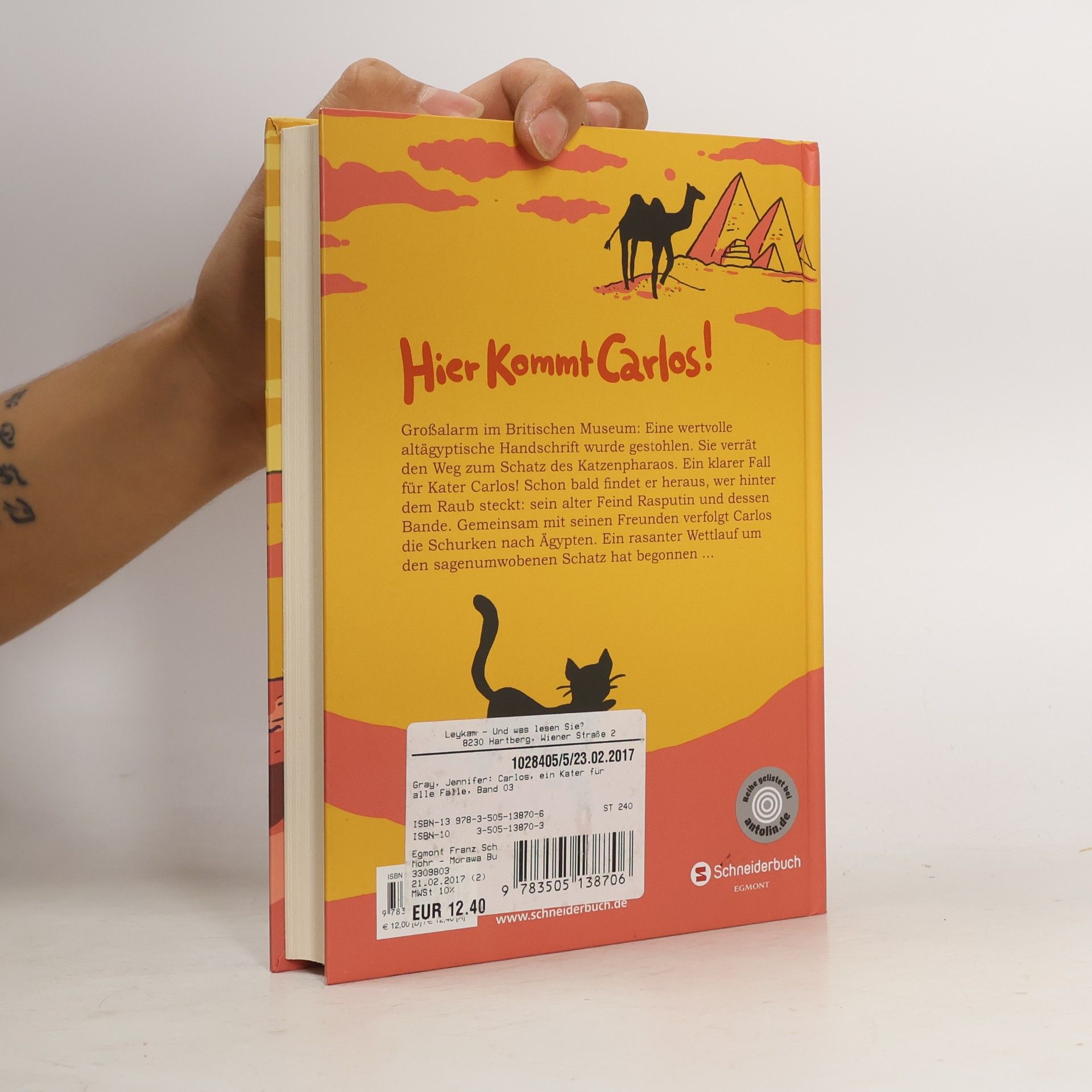Jennifer Gray Carlos, ein Kater für alle Fälle - 3: Die geheime Stadt der Katzen