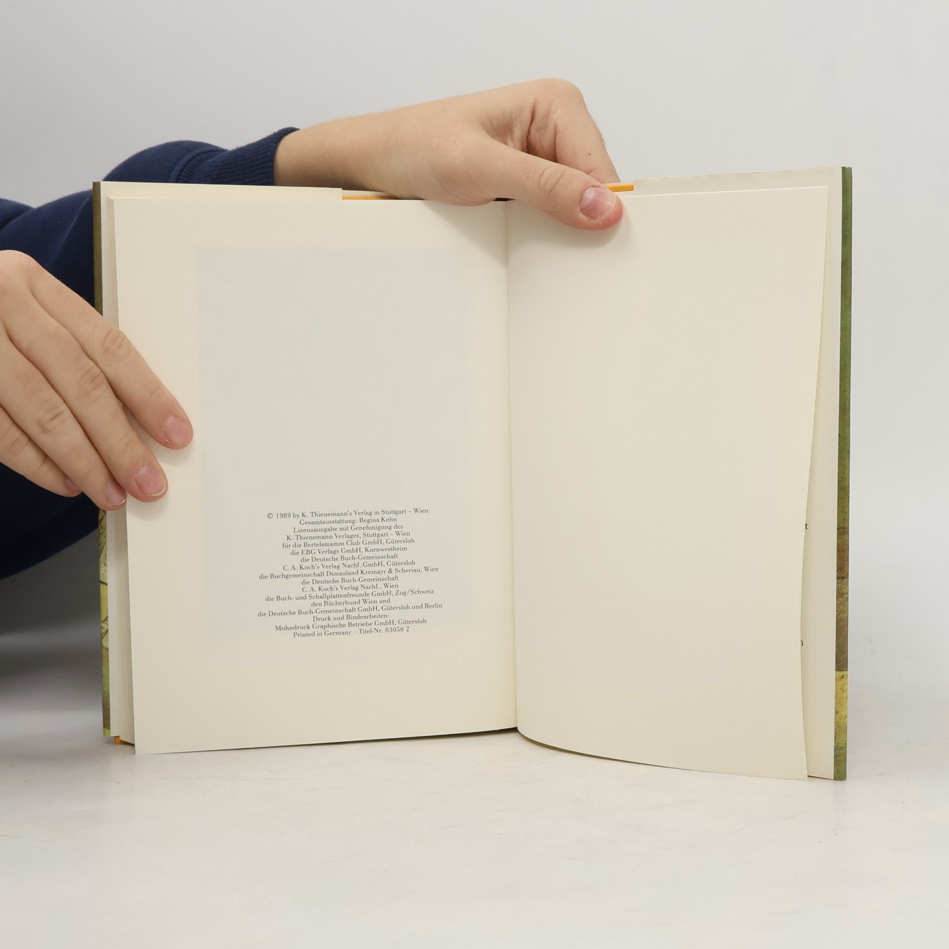 Michael Ende Der Wunsch Punsch