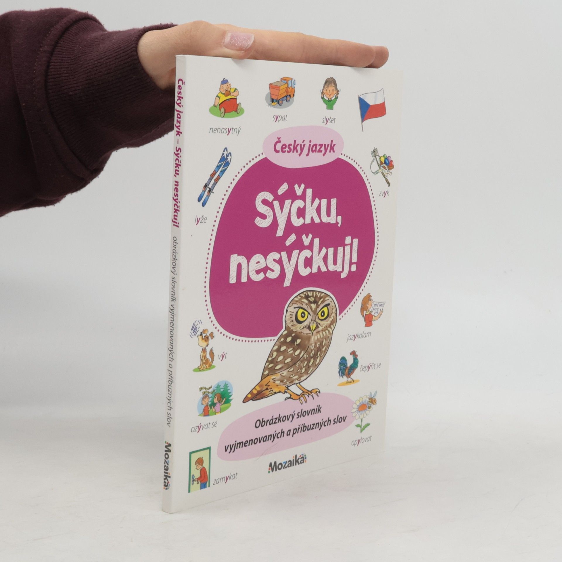 Autorenkollektiv Český jazyk : sýčku, nesýčkuj!
