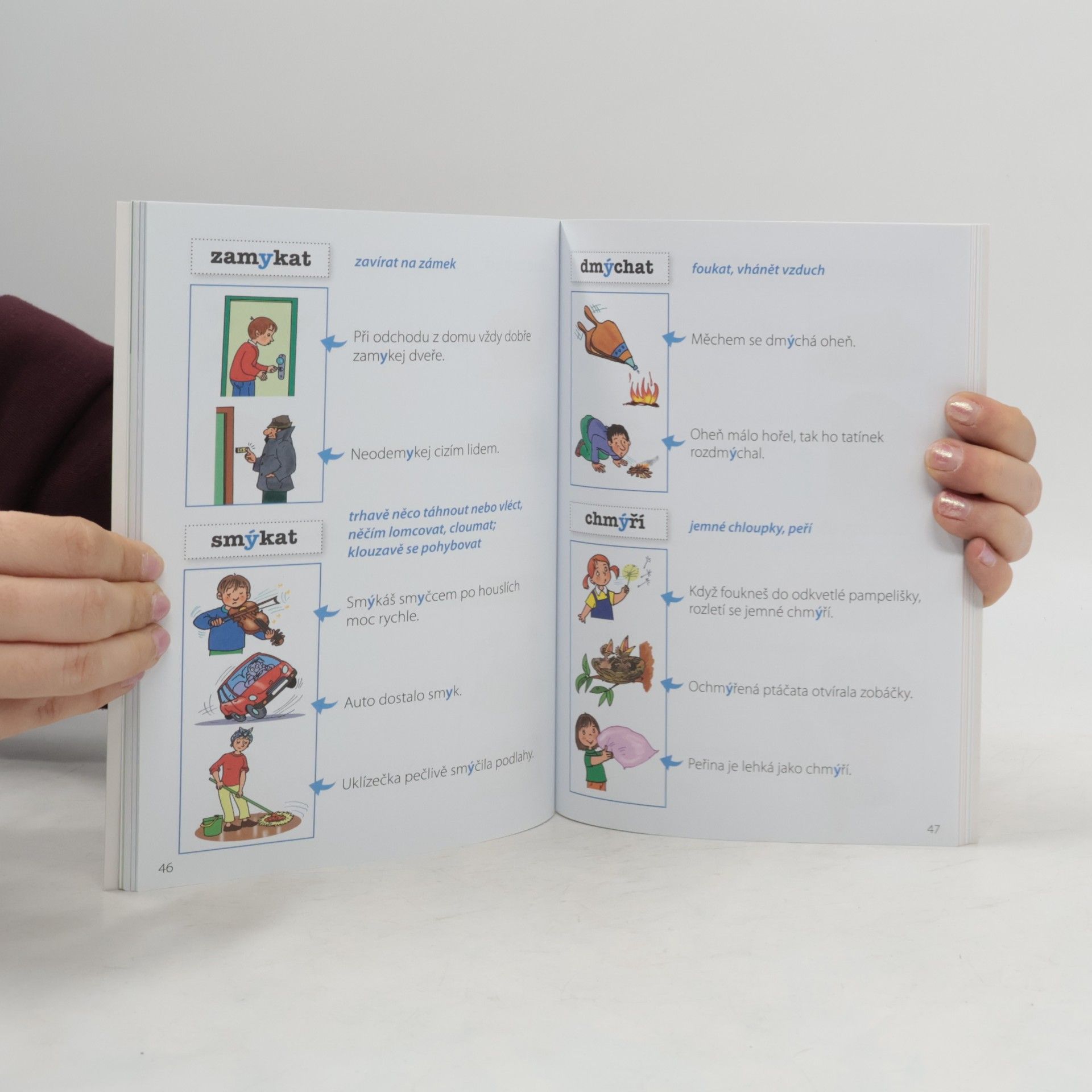 Autorenkollektiv Český jazyk : sýčku, nesýčkuj!