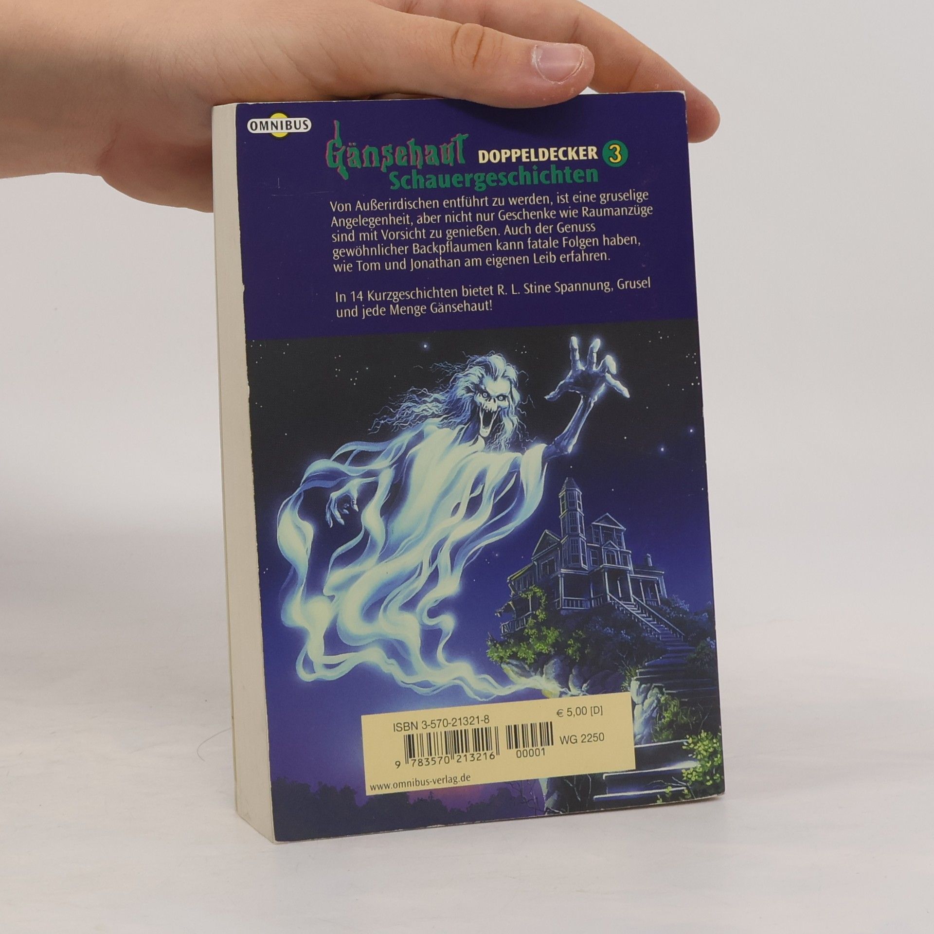 R. L. Stine Gänsehaut, Schauergeschichten, Doppeldecker. Tl.3