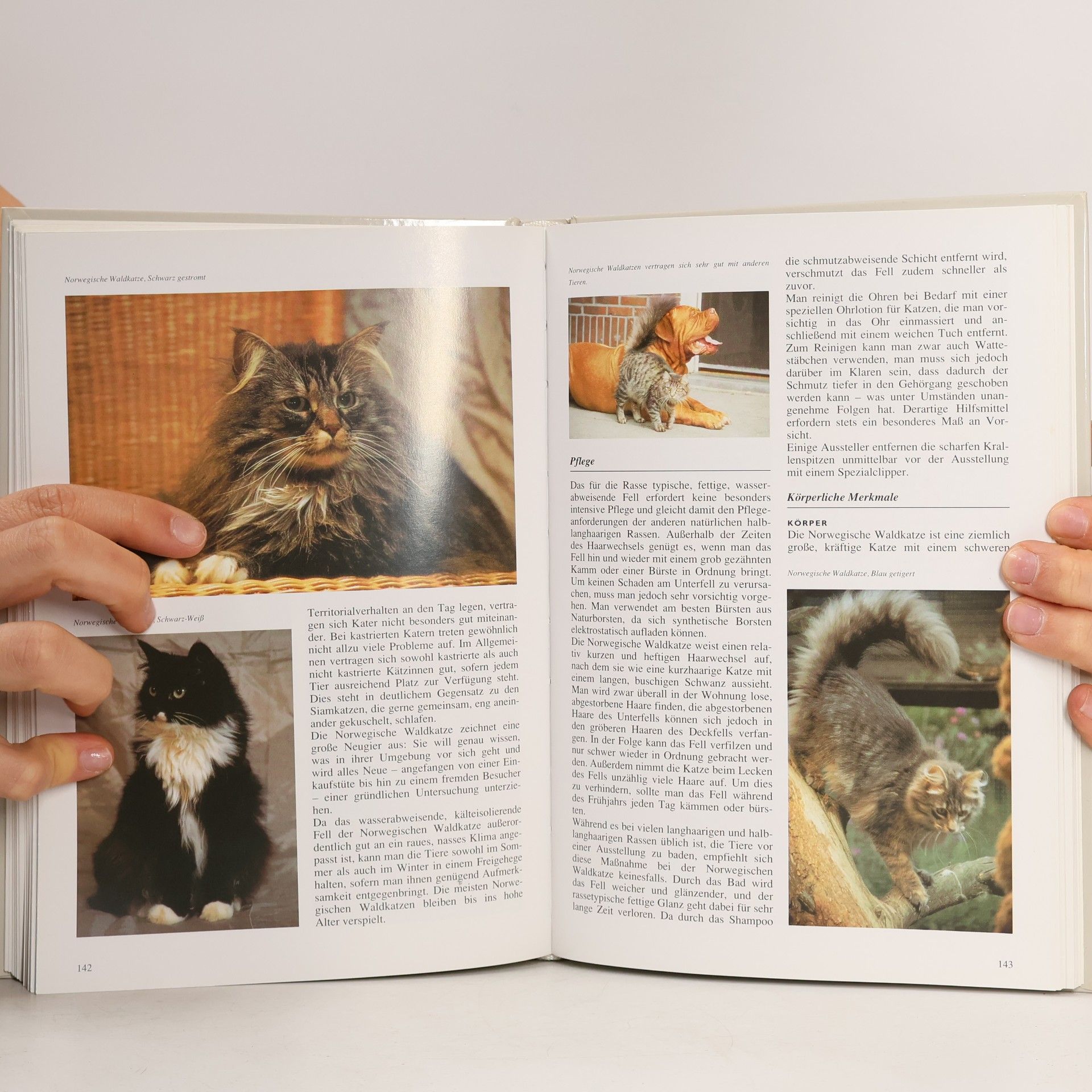 Esther J. J. Verhoef-Verhallen Katzen-Enzyklopädie
