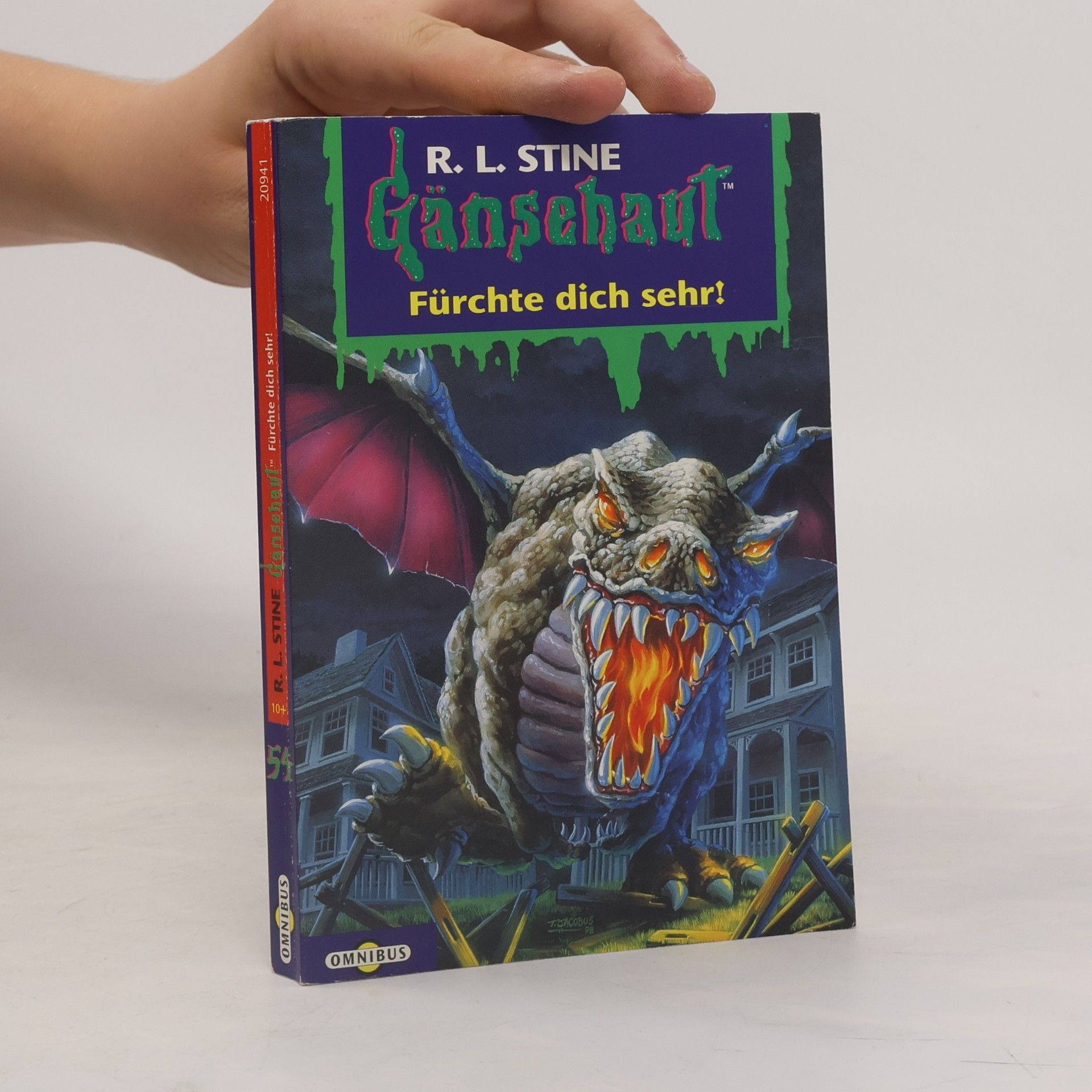 R. L. Stine Gänsehaut. Tl.54. Fürchte dich sehr!