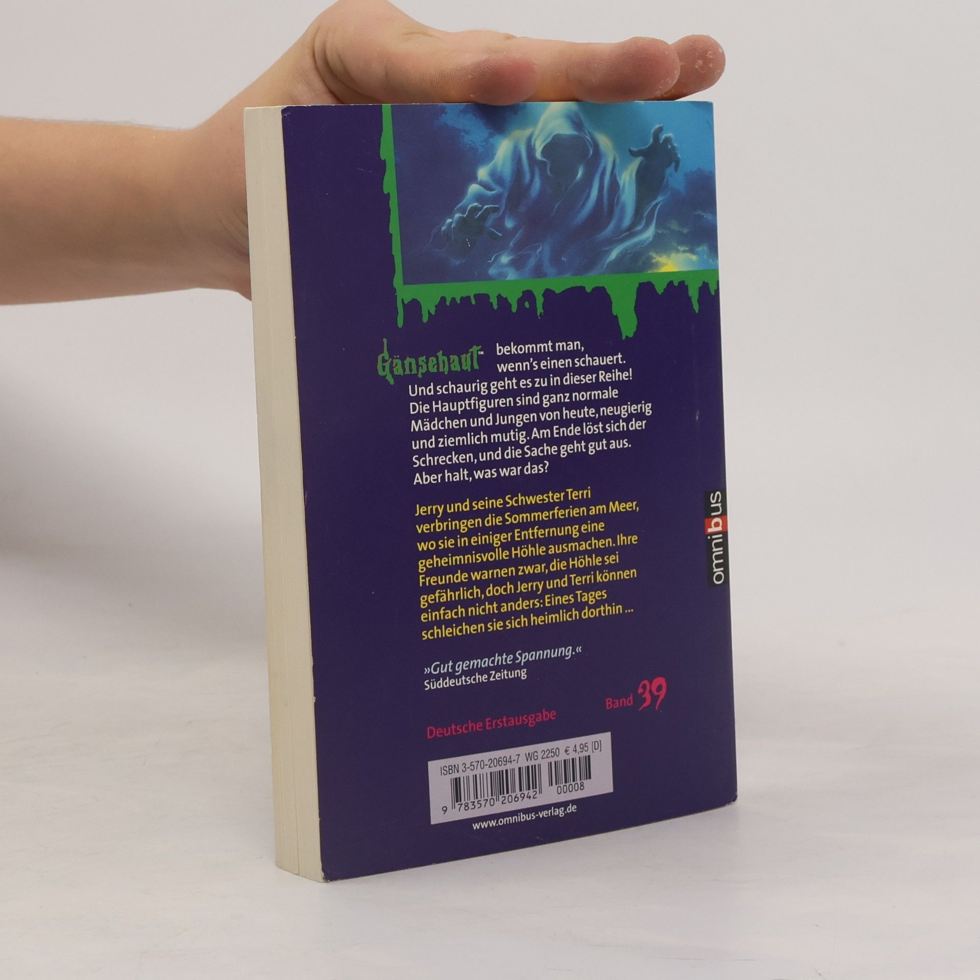 R. L. Stine Gänsehaut. Die Geisterhöhle