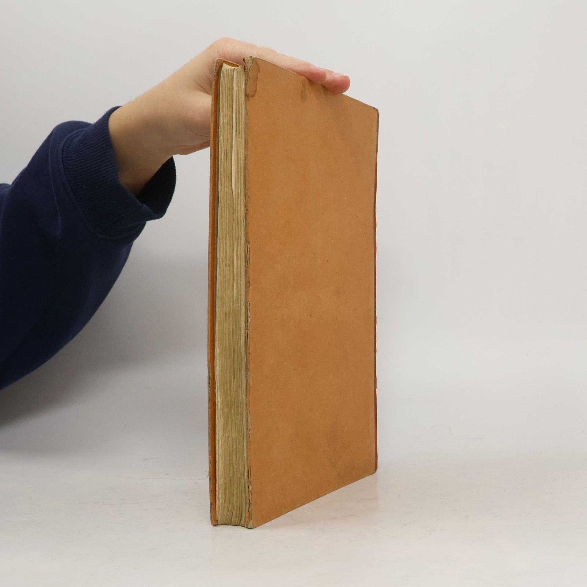 Georg Autenrieth Schulwörterbuch zu den Homerischen Gedichten
