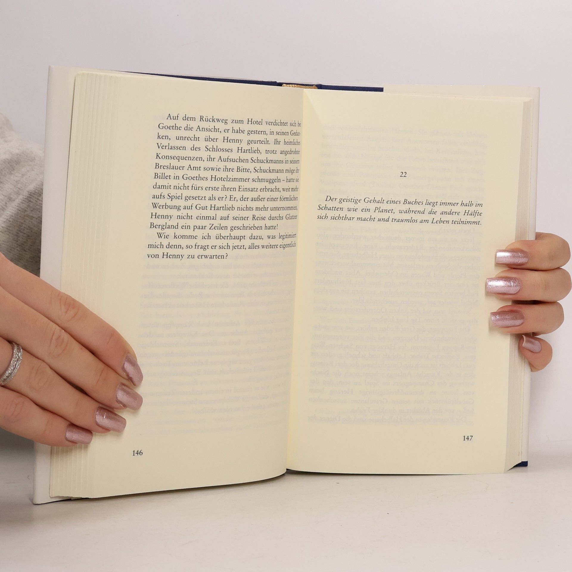 Heinz Piontek Goethe unterwegs in Schlesien