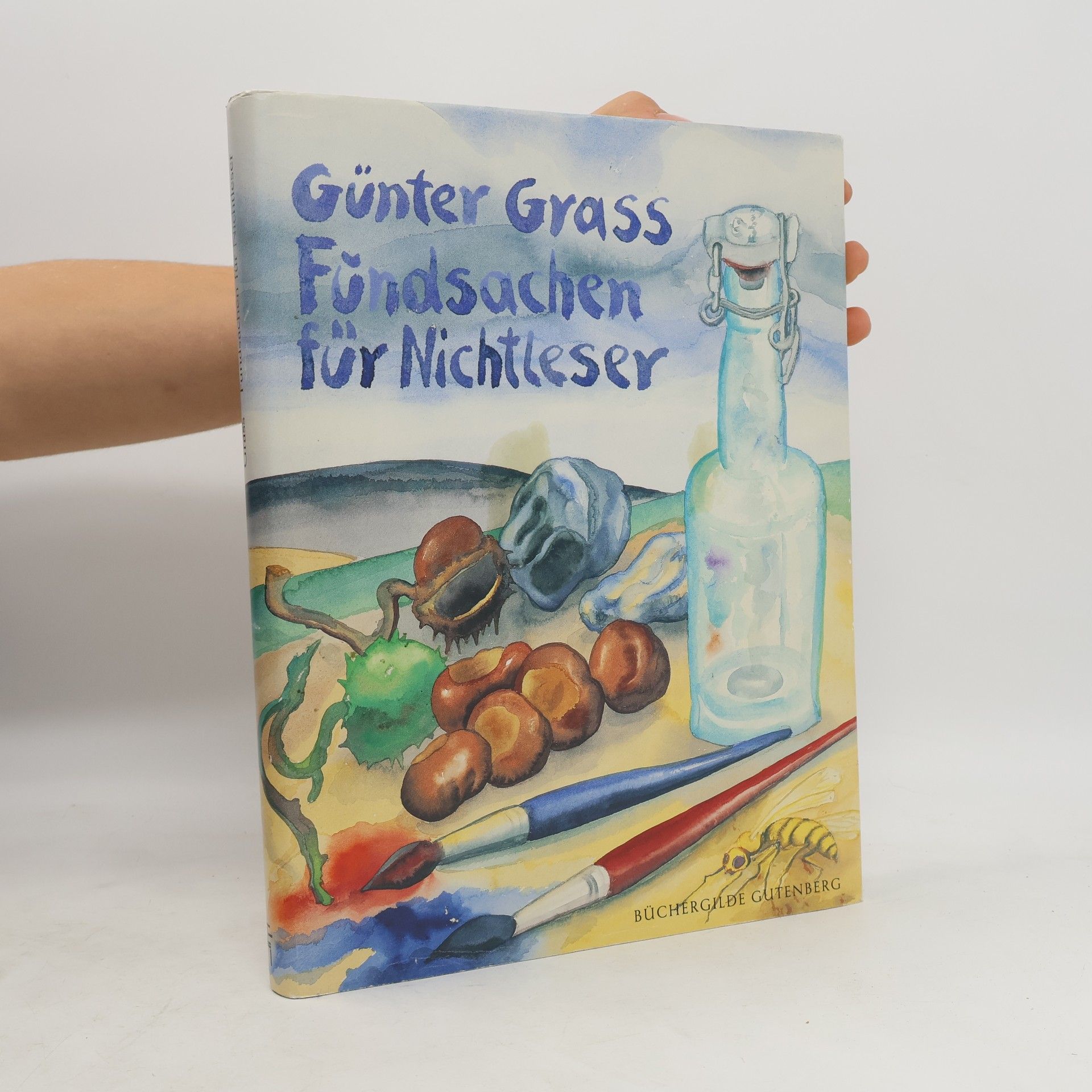 Günter Grass Fundsachen für Nichtleser
