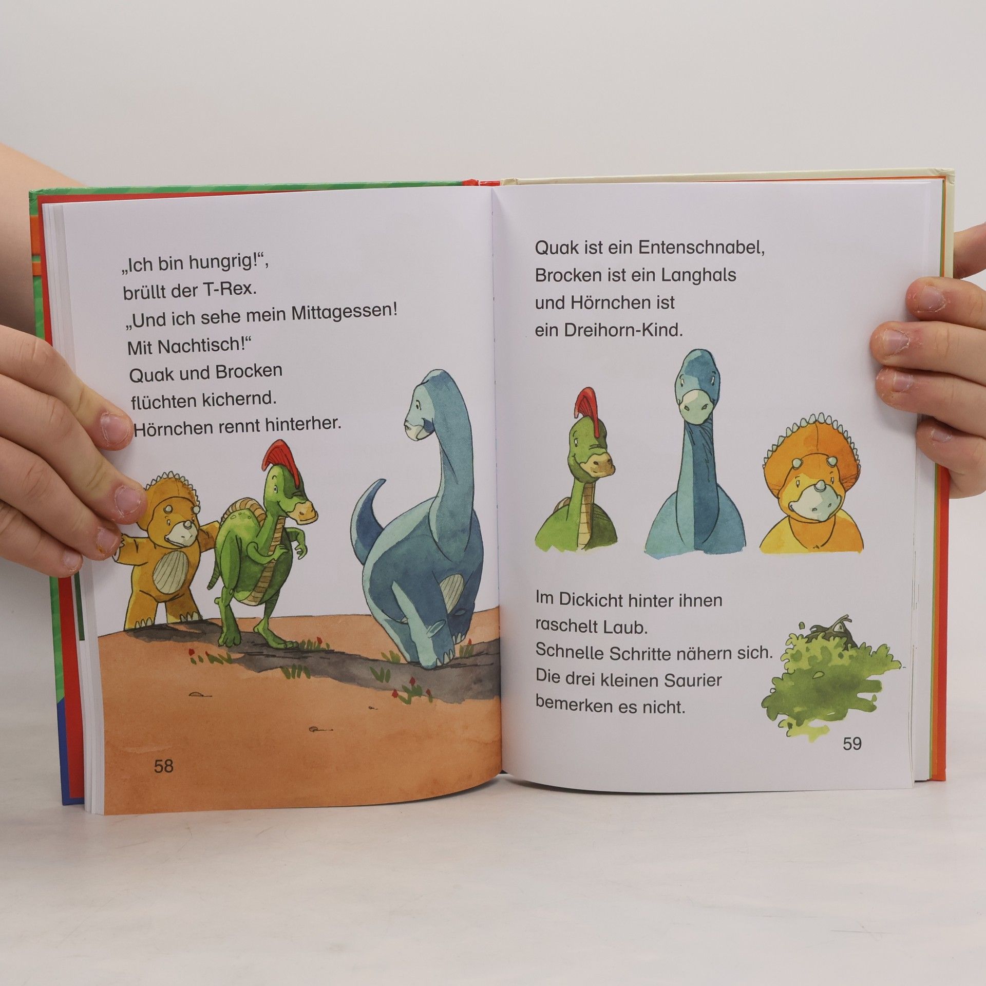 Claudia Ondracek Dinoabenteuer für Erstleser