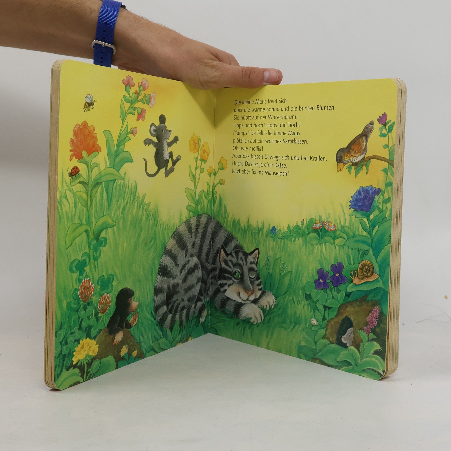 Elke Amm Mein erstes Geschichtenbuch