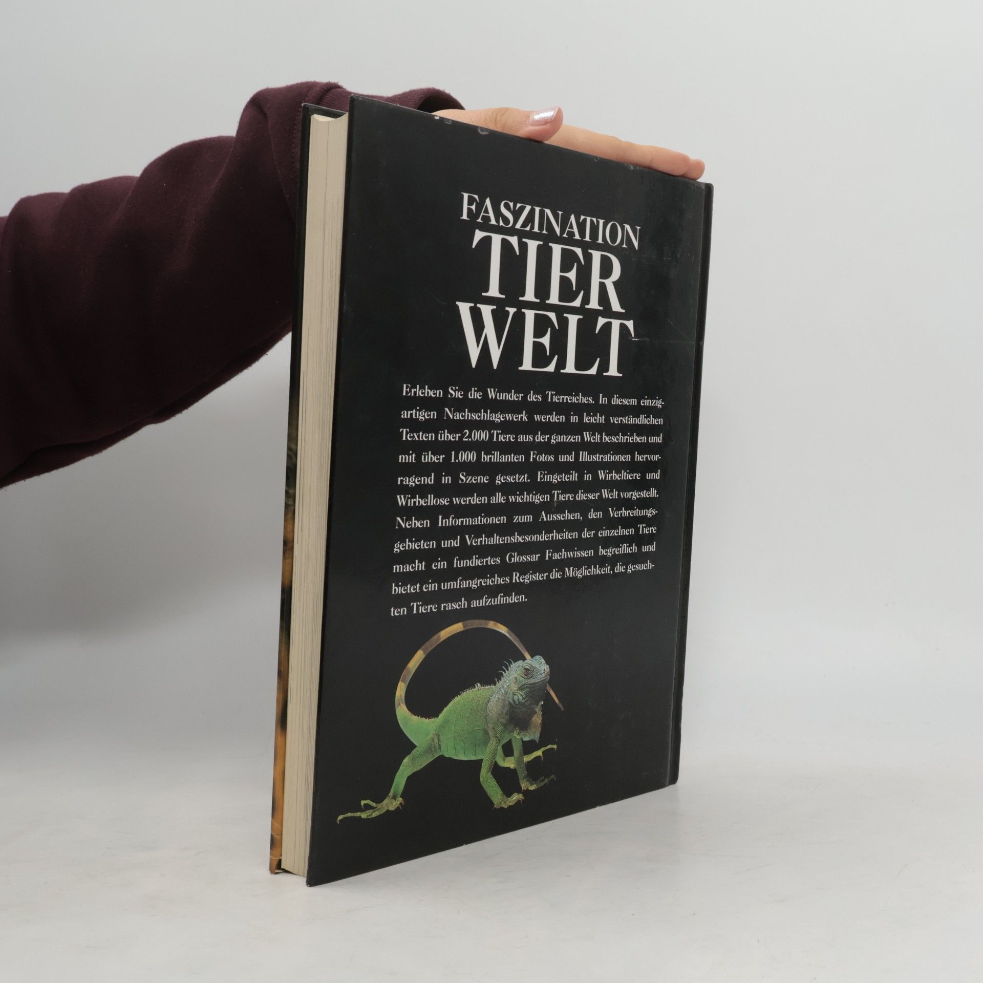 Kolektiv autorů Faszination. Tierwelt