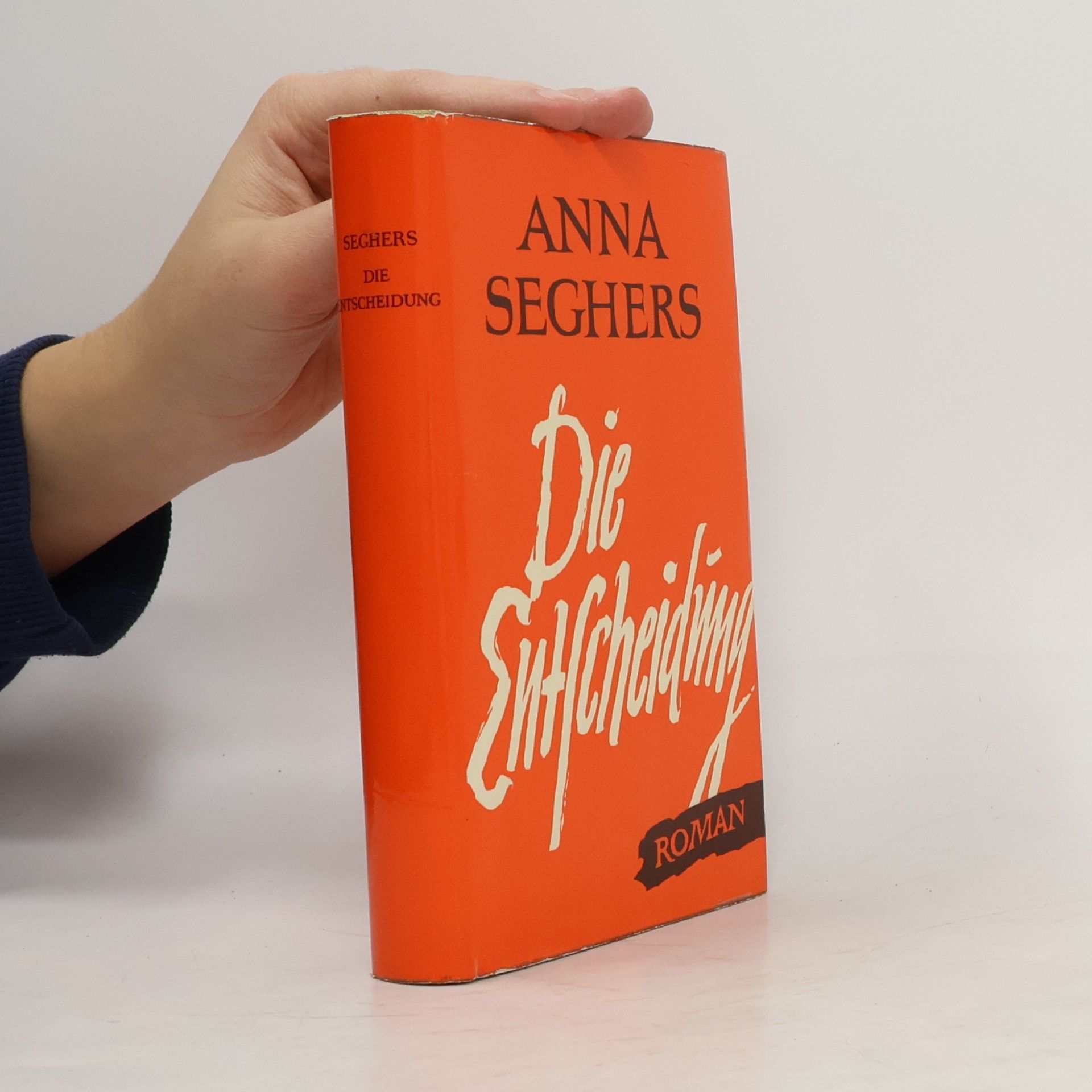 Anna Seghers Die Entscheidung