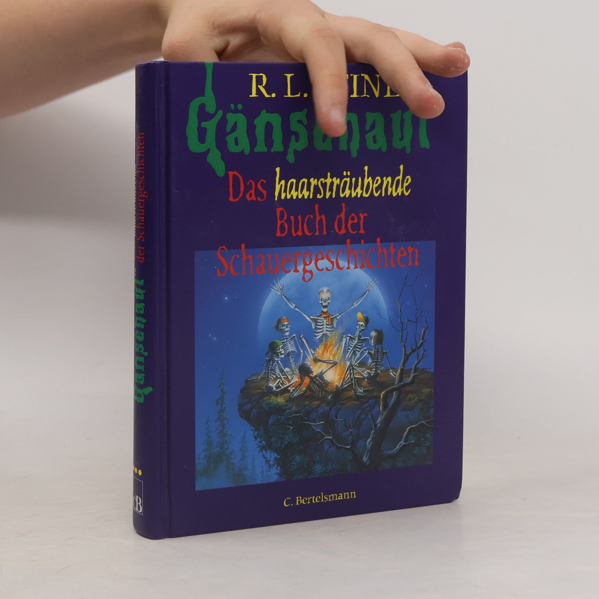 R. L. Stine Das haarsträubende. Buch der Schauergeschichten