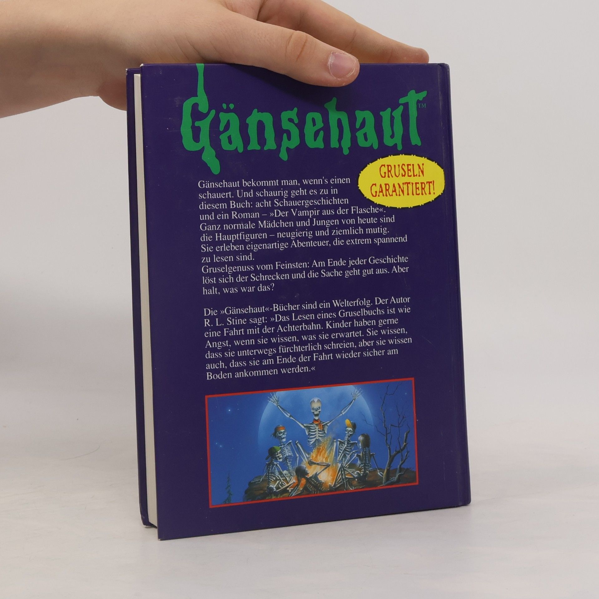 R. L. Stine Das haarsträubende. Buch der Schauergeschichten