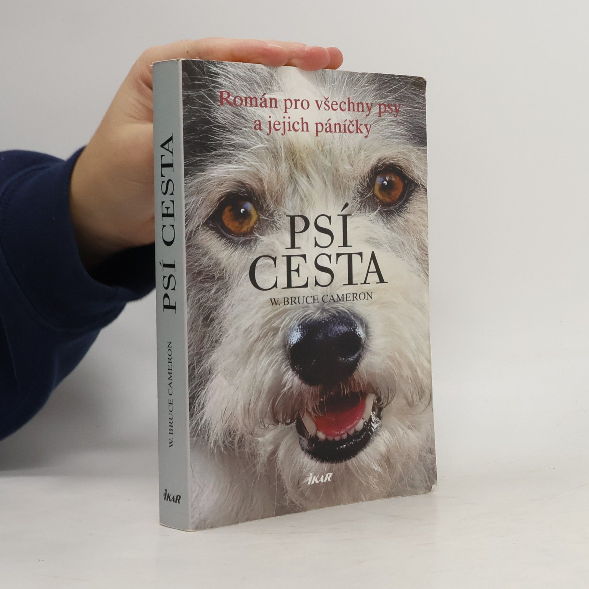 W. Bruce Cameron Psí cesta