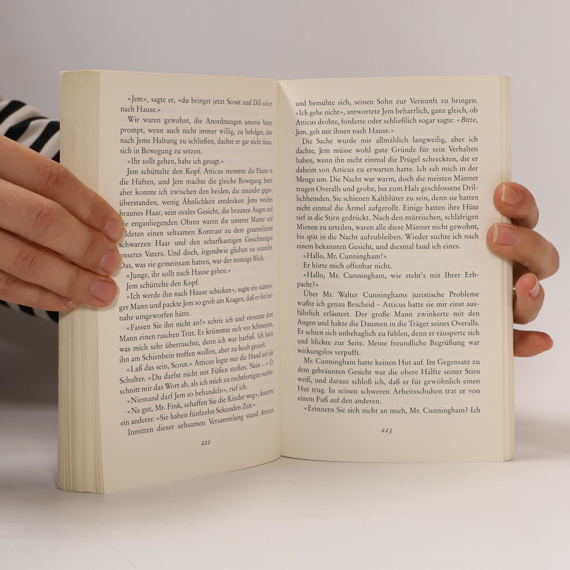 Harper Lee Wer die Nachtigall stört...