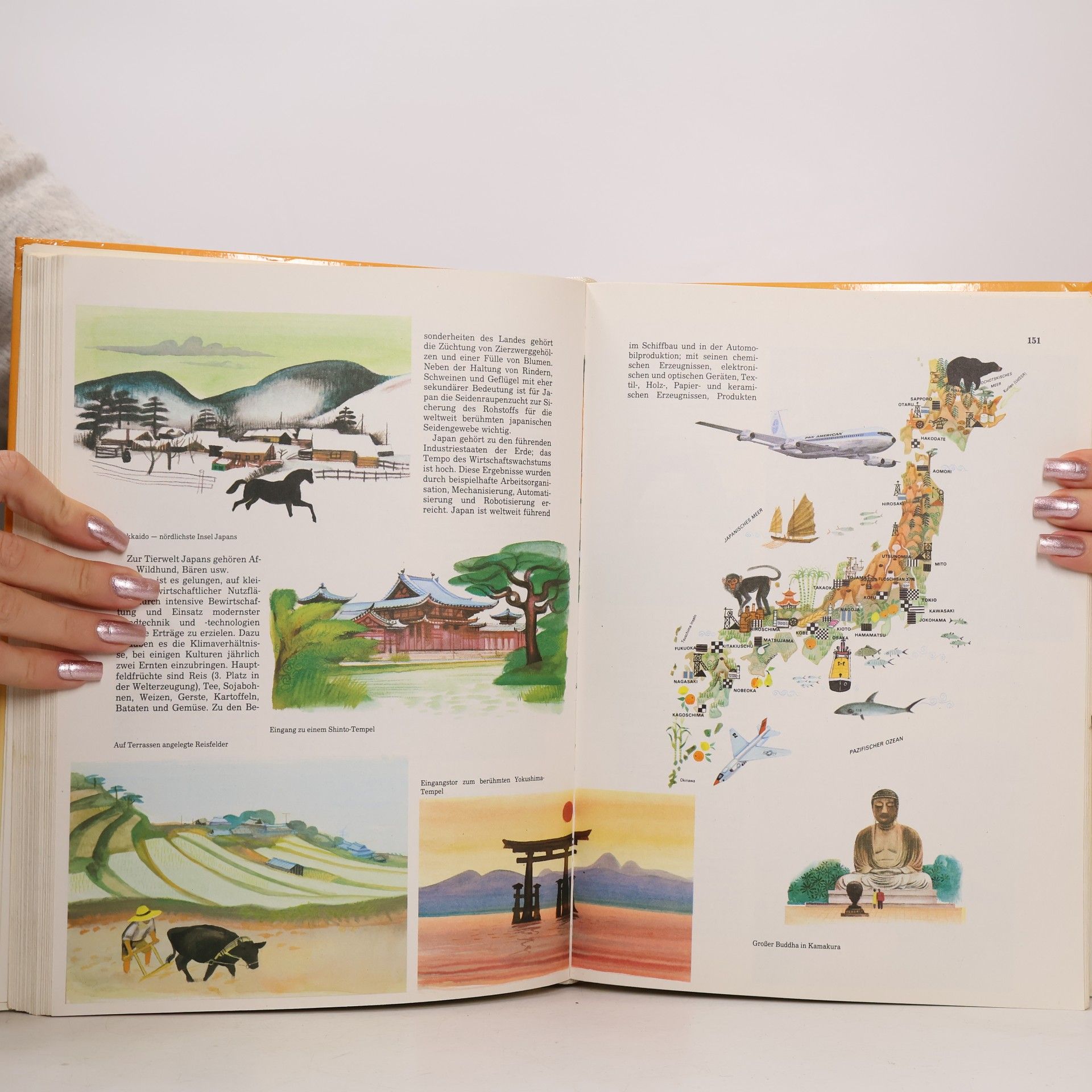 Autores varios Der grosse illustrierte Kinderatlas