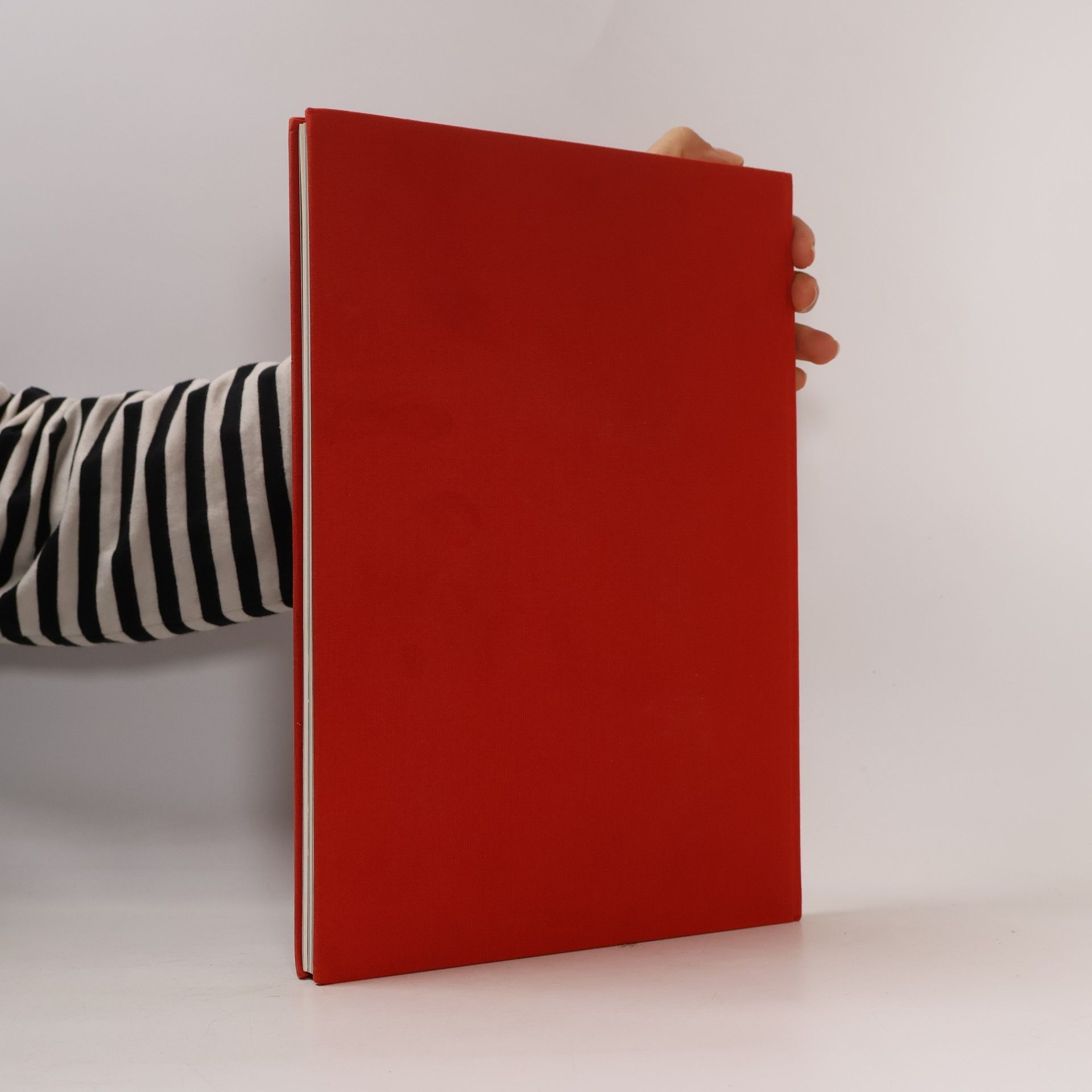 Brendan Lehane Das Weihnachtsbuch