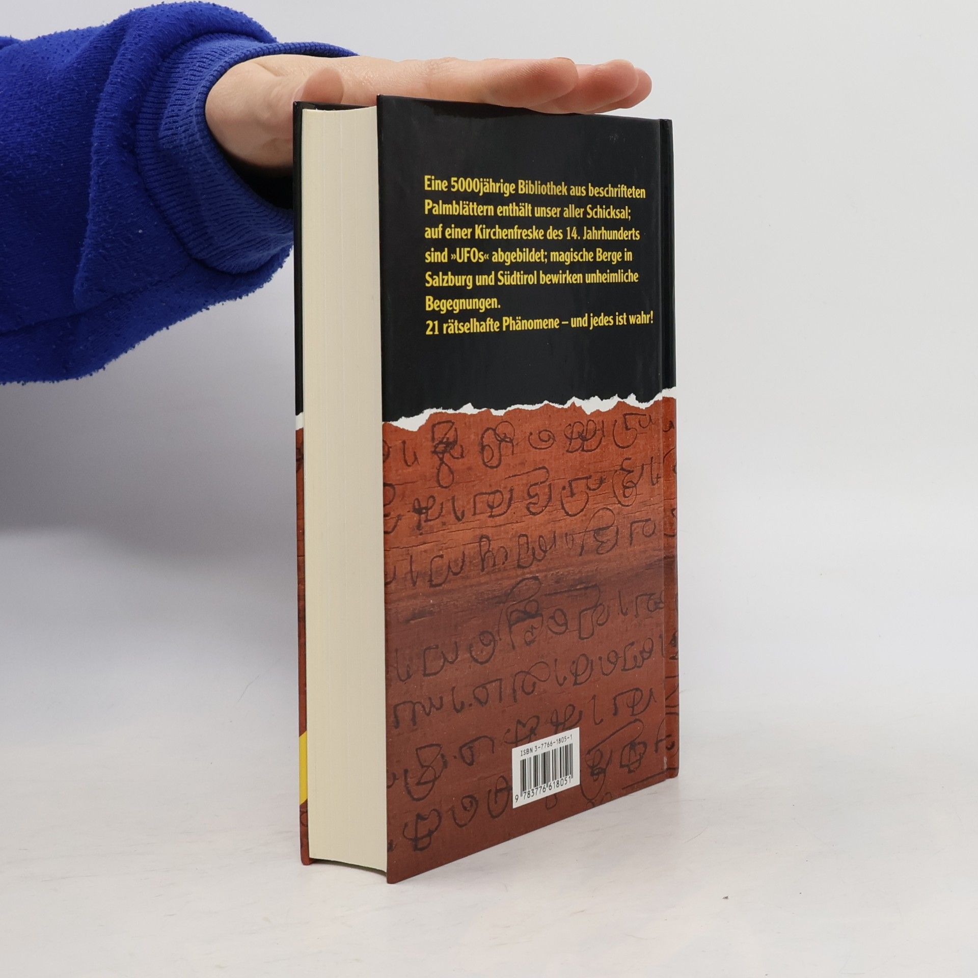 Peter Krassa Die Palmblatt-Bibliothek und andere geheimnisvolle Schauplätze dieser Welt