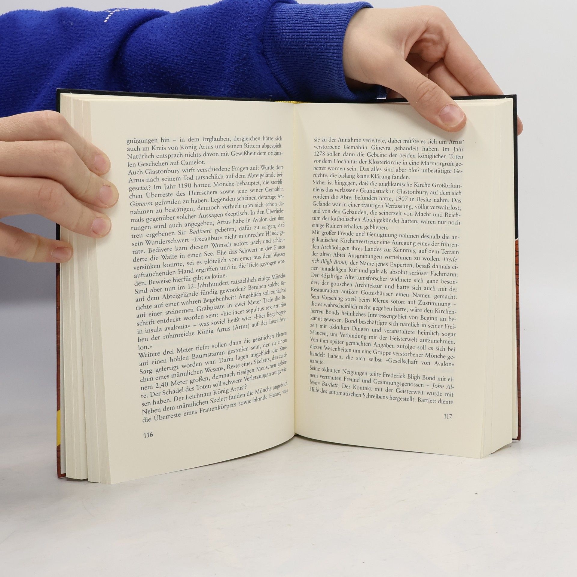 Peter Krassa Die Palmblatt-Bibliothek und andere geheimnisvolle Schauplätze dieser Welt