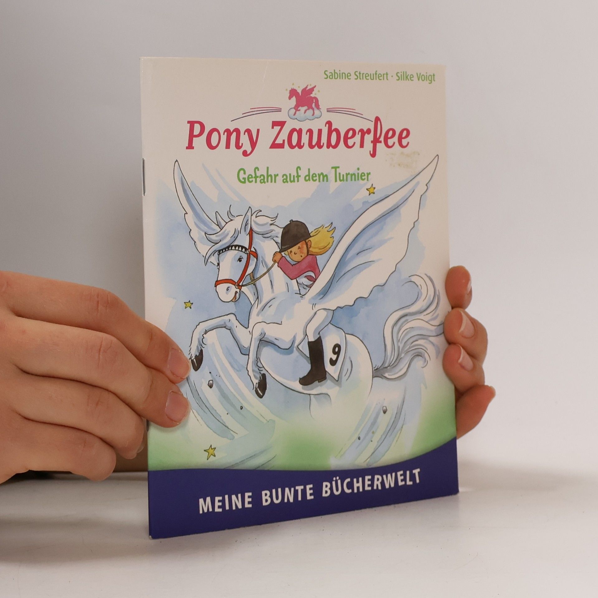 Sabine Streufert Pony Zauberfee 9