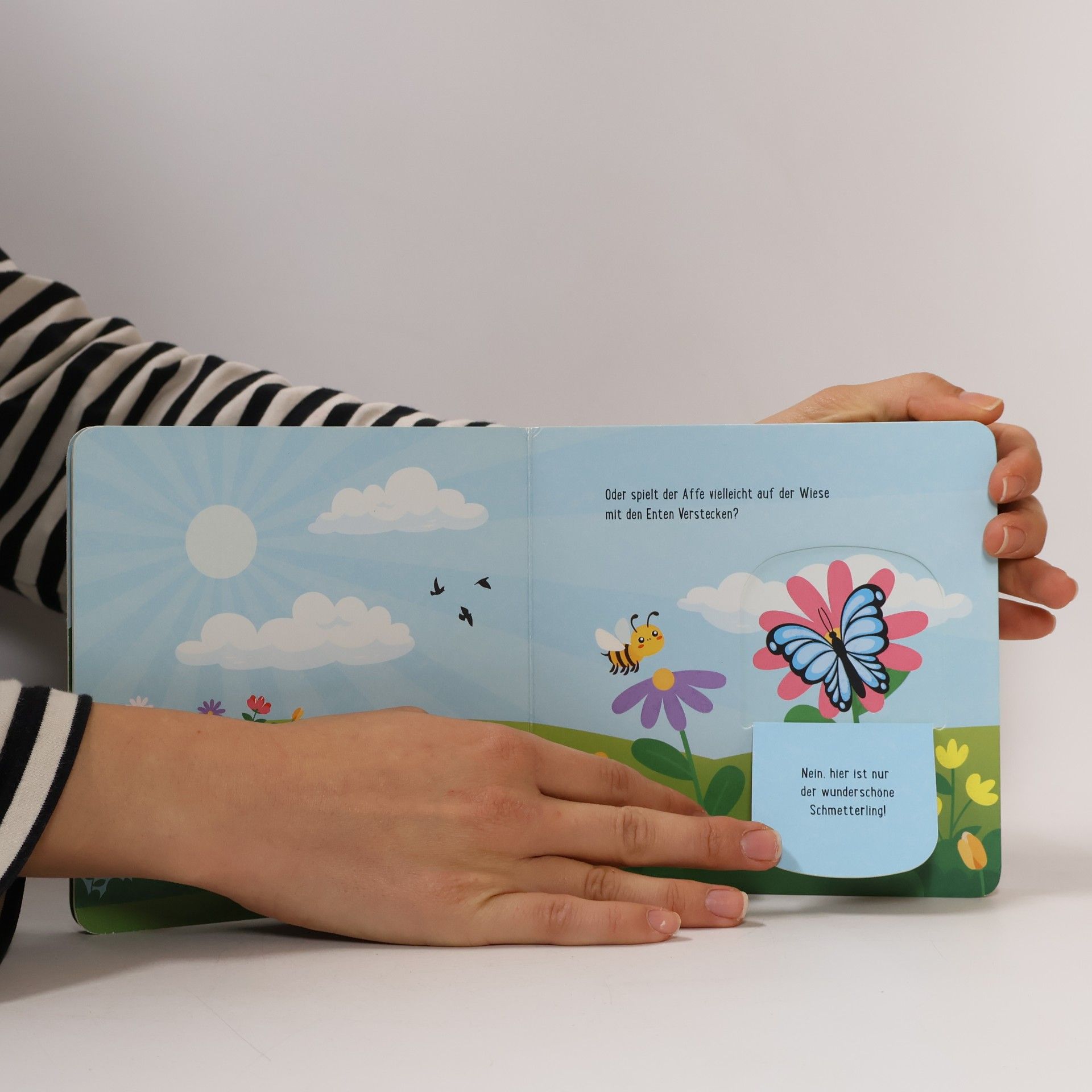 Anan Wainakh Mein kleines Klappenbuch - Lieblingstiere