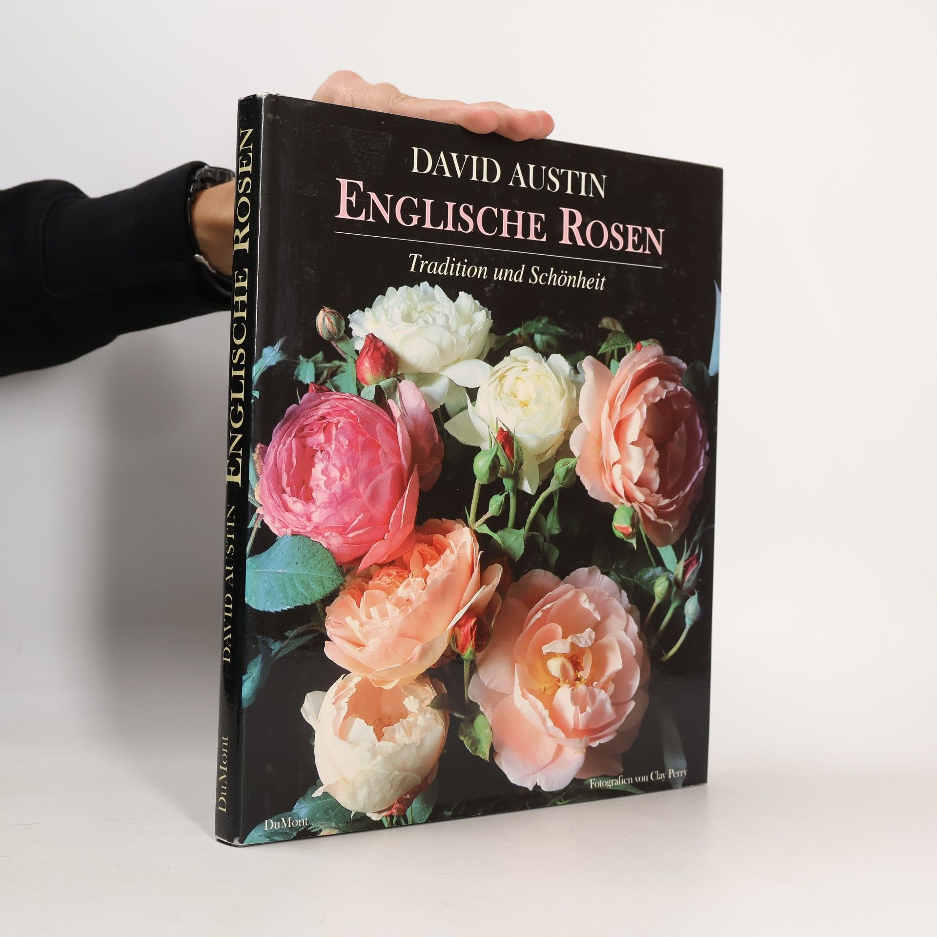 Englische Rosen
