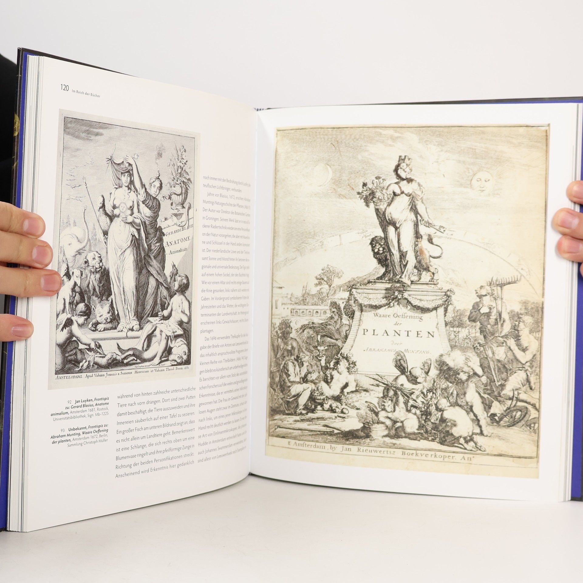 Gero Seelig Die Menagerie der Medusa