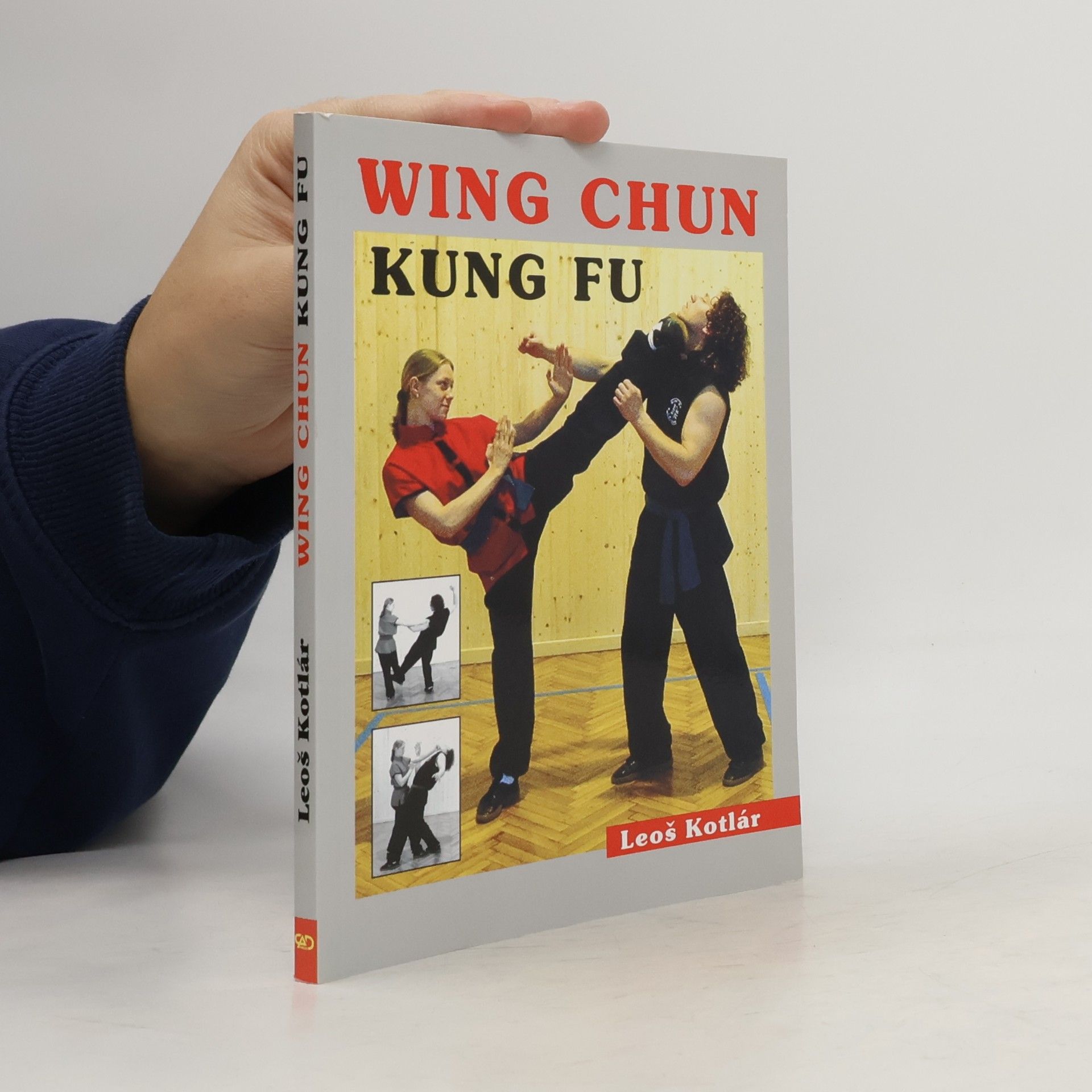 Wing chun. Kung fu. Metodická příručka